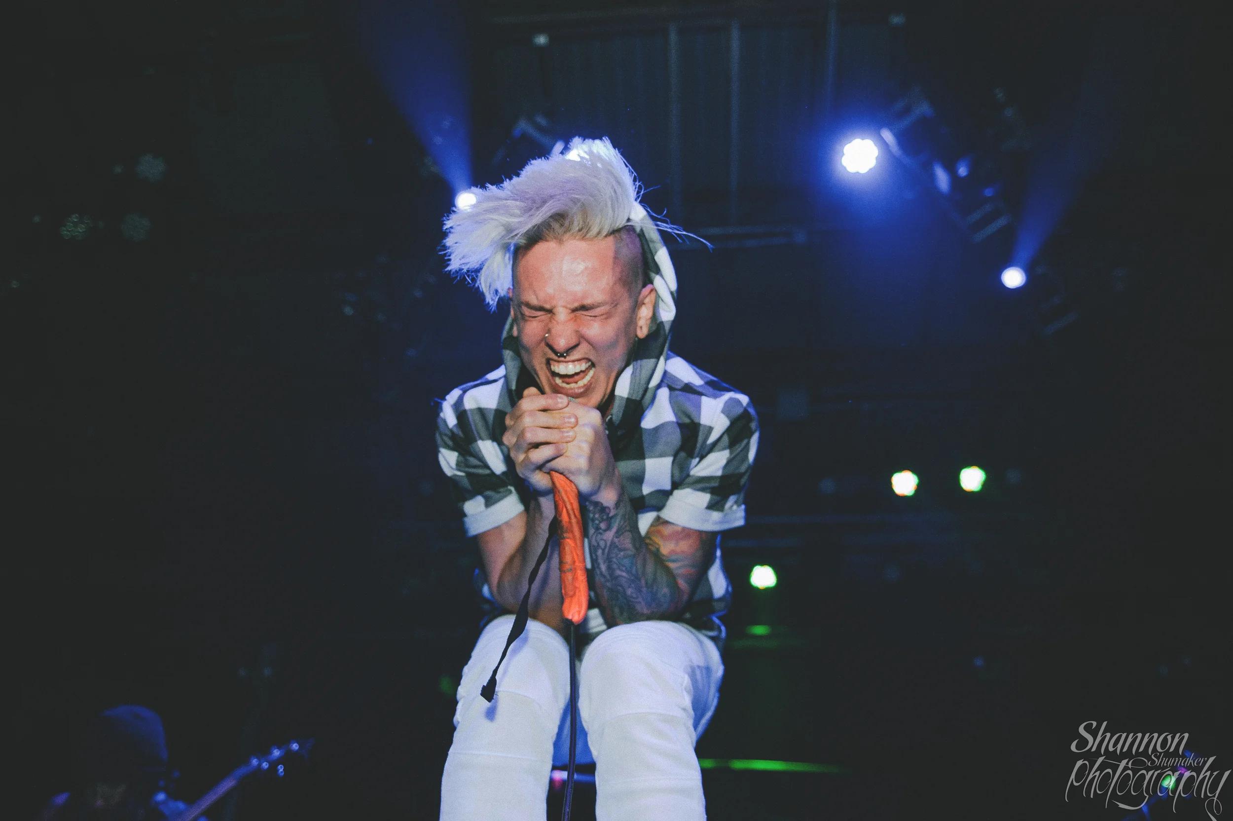 The Word Alive