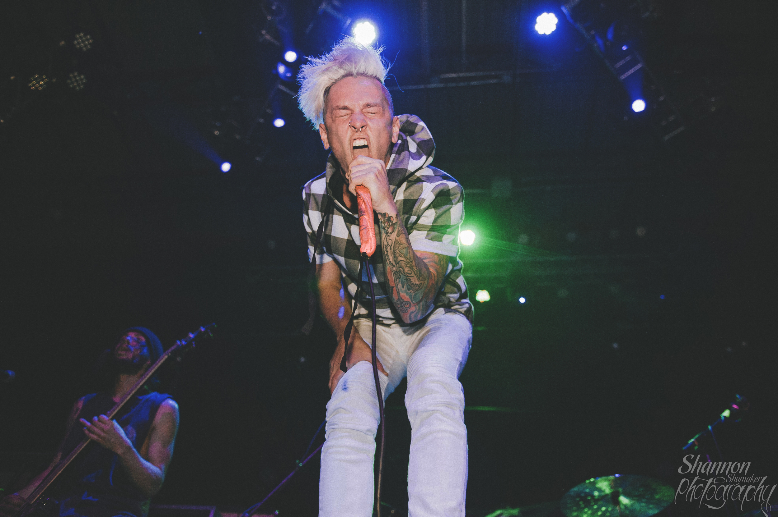 The Word Alive
