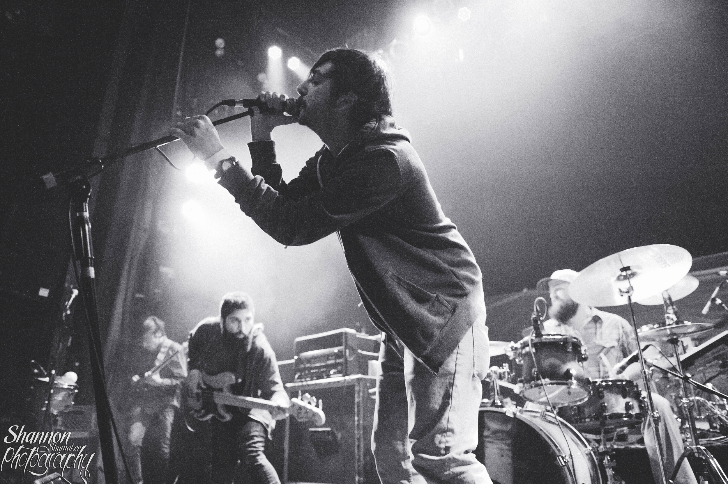Foxing
