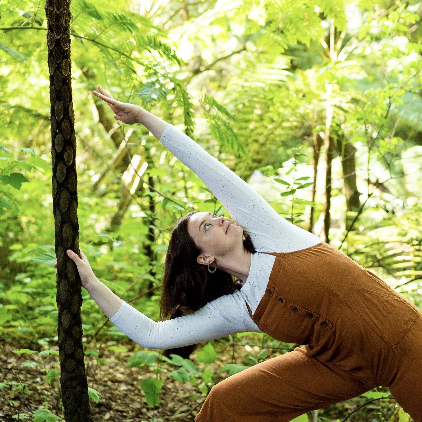 Practice.

It is now about where you are. 
It is not as about who you are.
It is about that you are.

#vryoga #yogaoutdors #metaquest