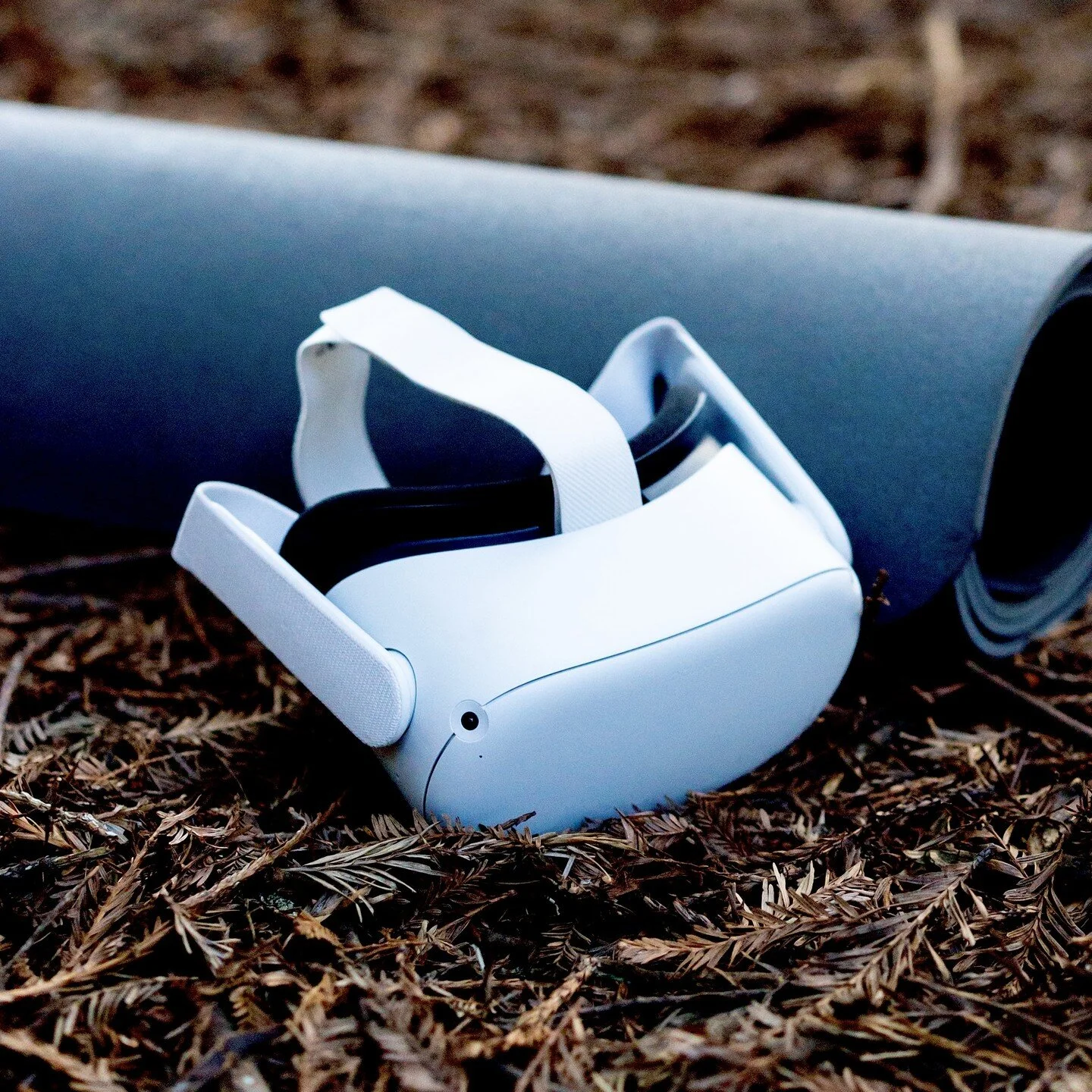 Practice.

It is now about where you are. 
It is not as about who you are.
It is about that you are.

#vryoga #yogaoutdors #metaquest