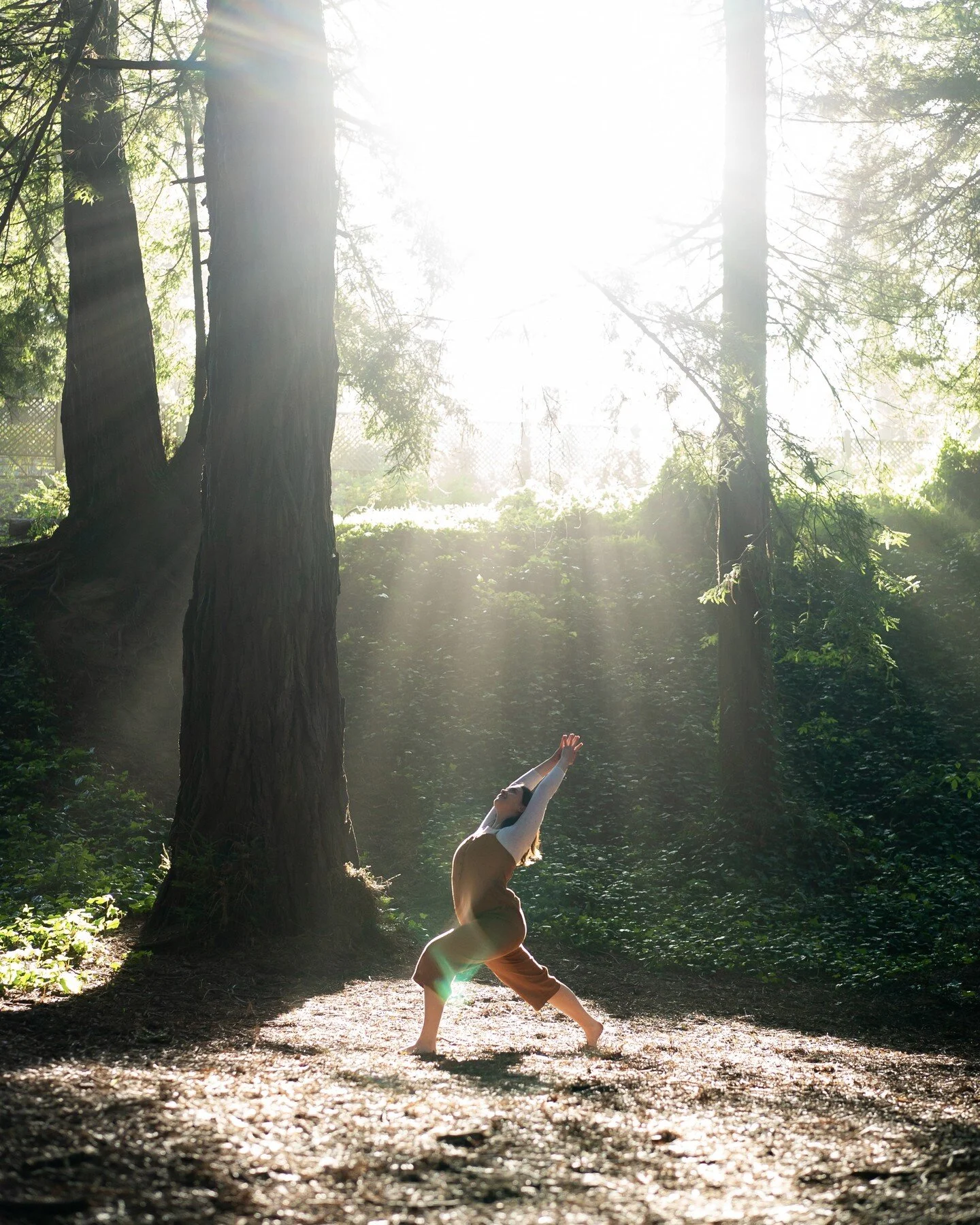Join @_jennimoves in a mystical redwood grove for gentle seated yoga... a great way to release tension in your neck and shoulders.

#vryoga #vrflow #outdooryoga #360video #metaquest #oculus