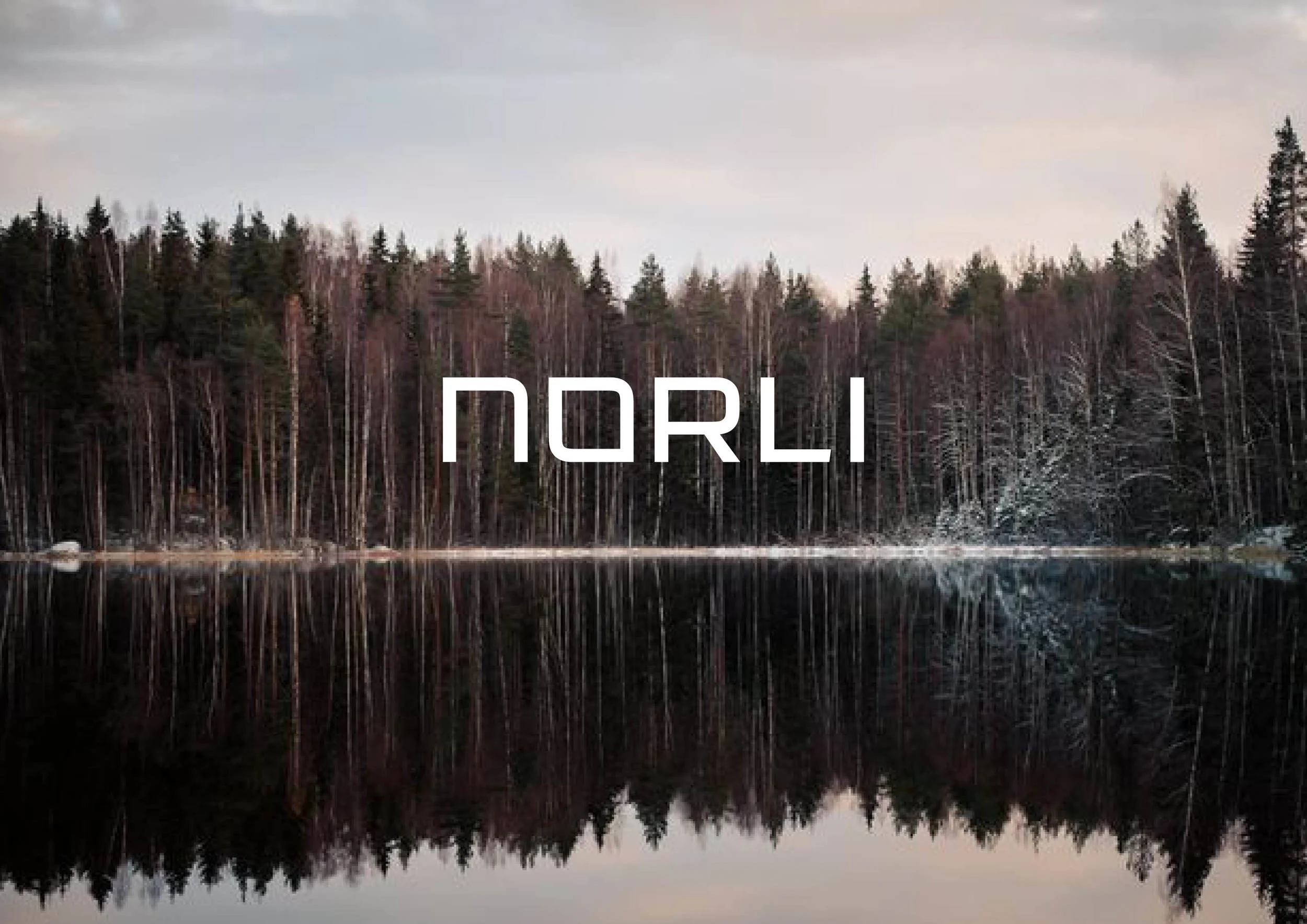 Norli-portfolio.jpg