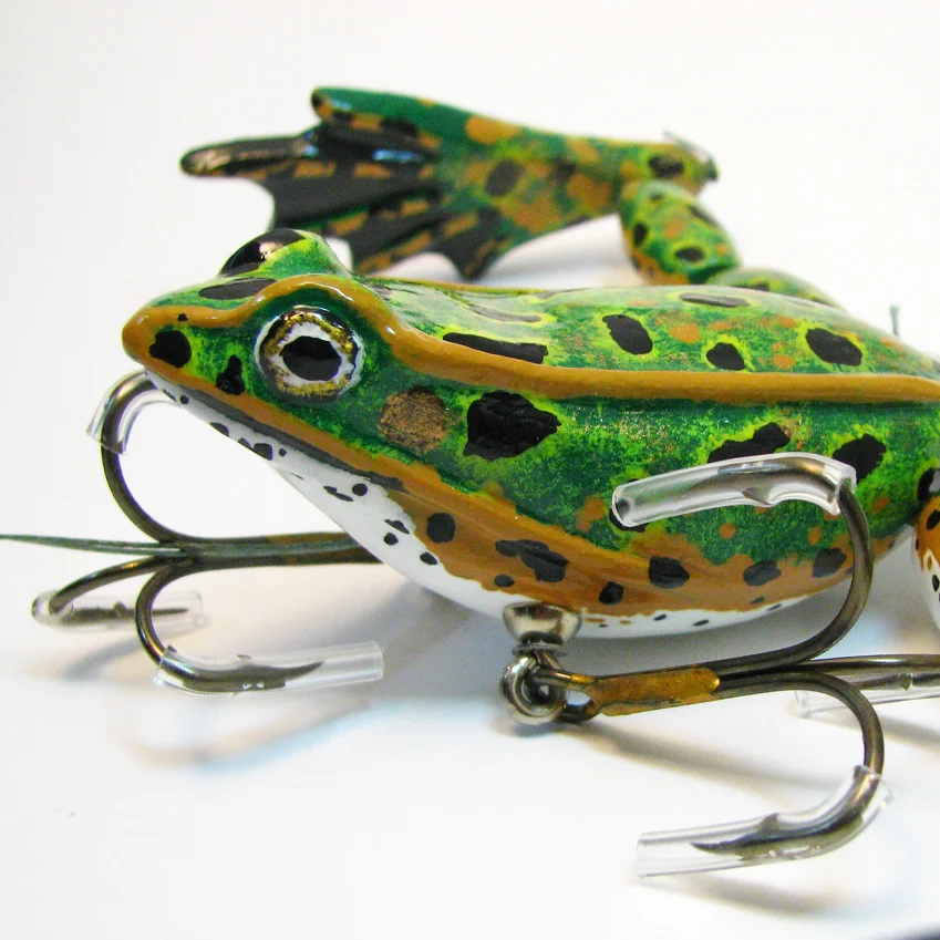 Lillypad Leaper_Leopard Frog.jpg