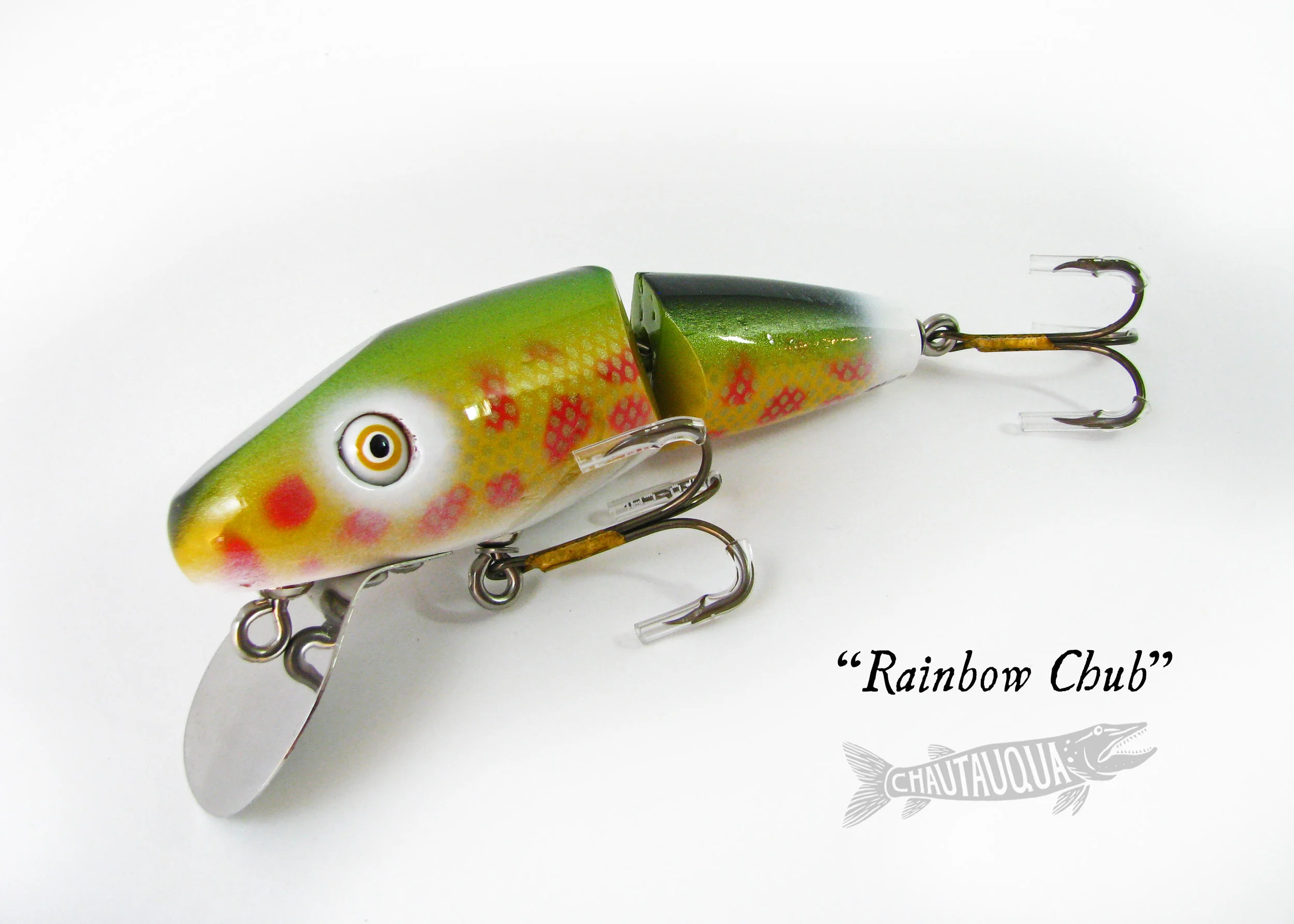 Rainbow Chub_SS.jpg