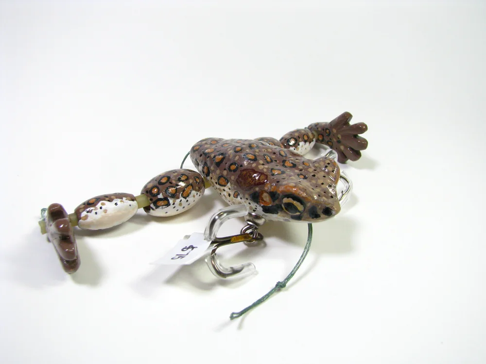 Speckled Toad
