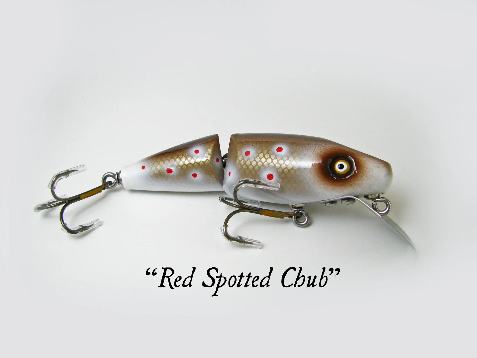 Super Shark_Red Spotted Chub.jpg
