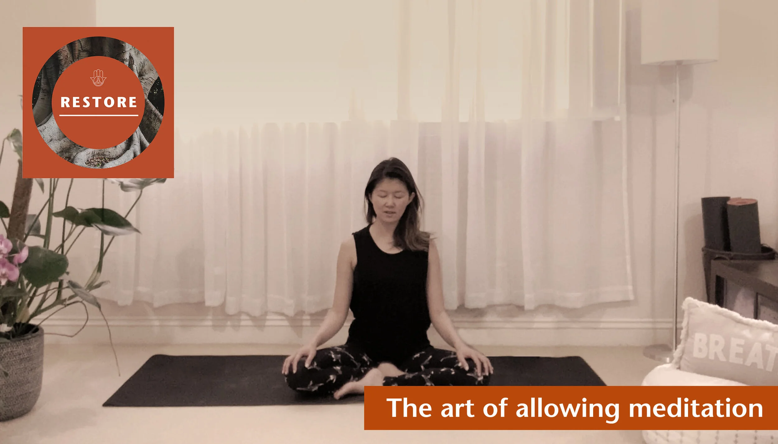Restore - The art of allowing meditation.jpg