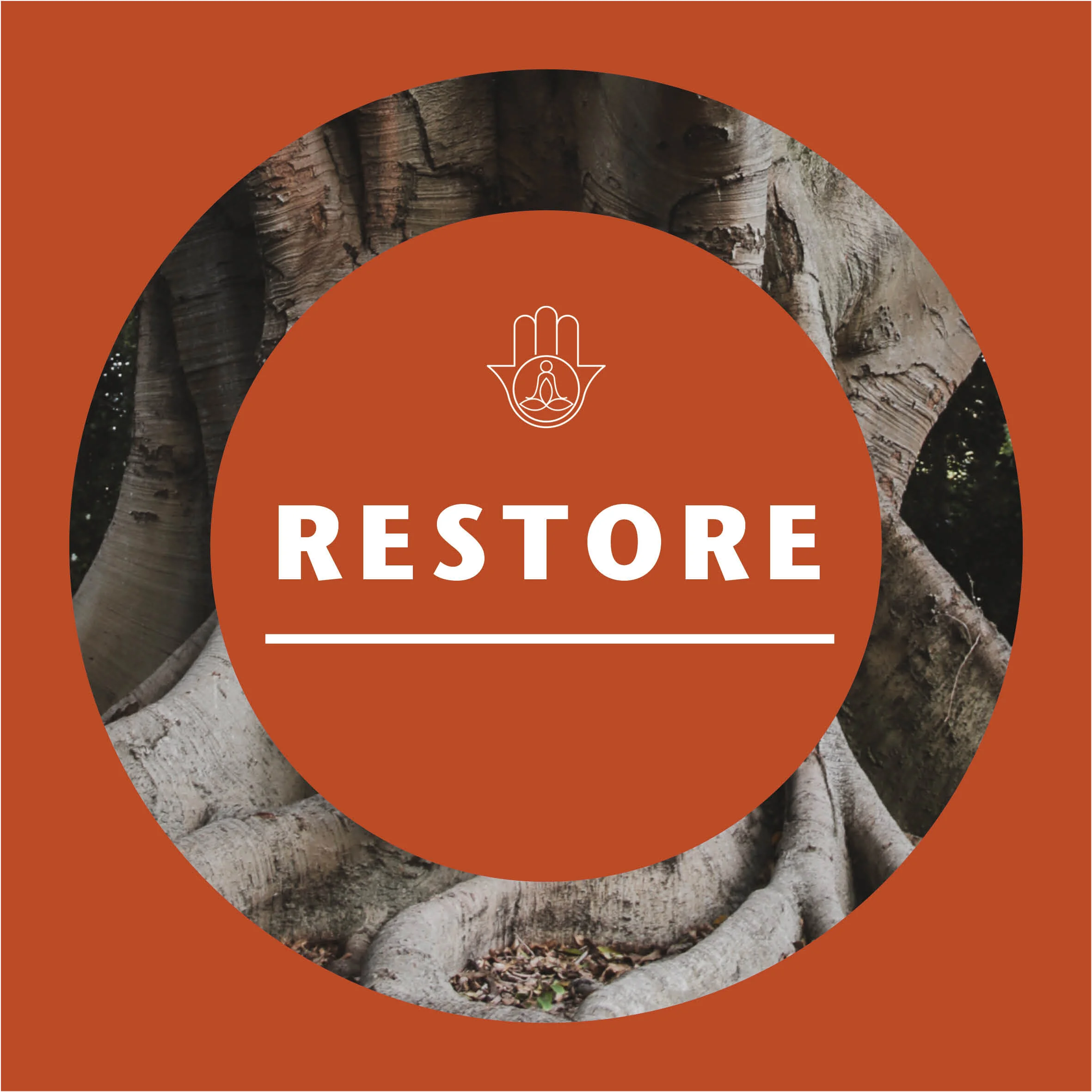 Restore icon.jpg