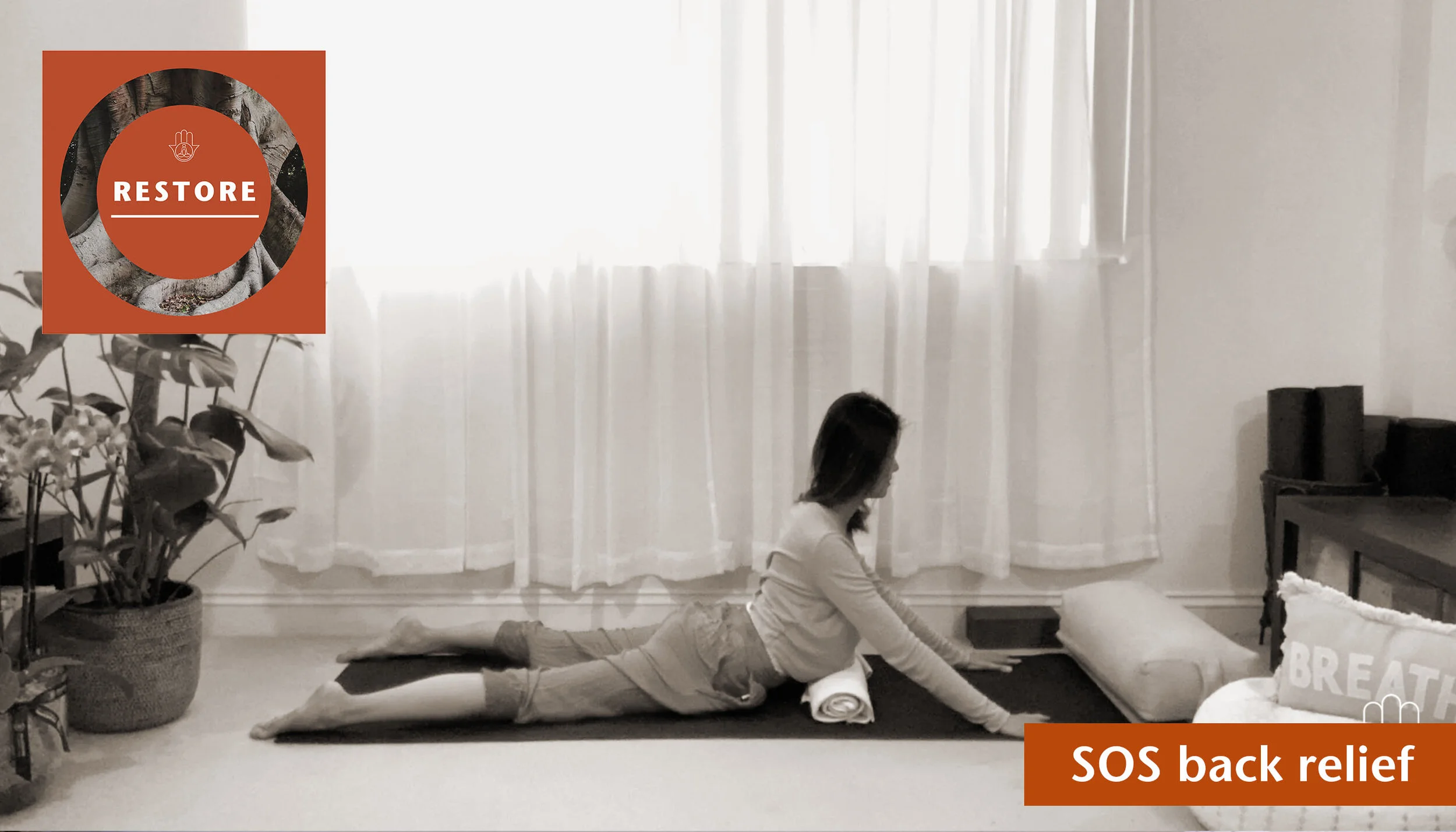 SOS back relief 