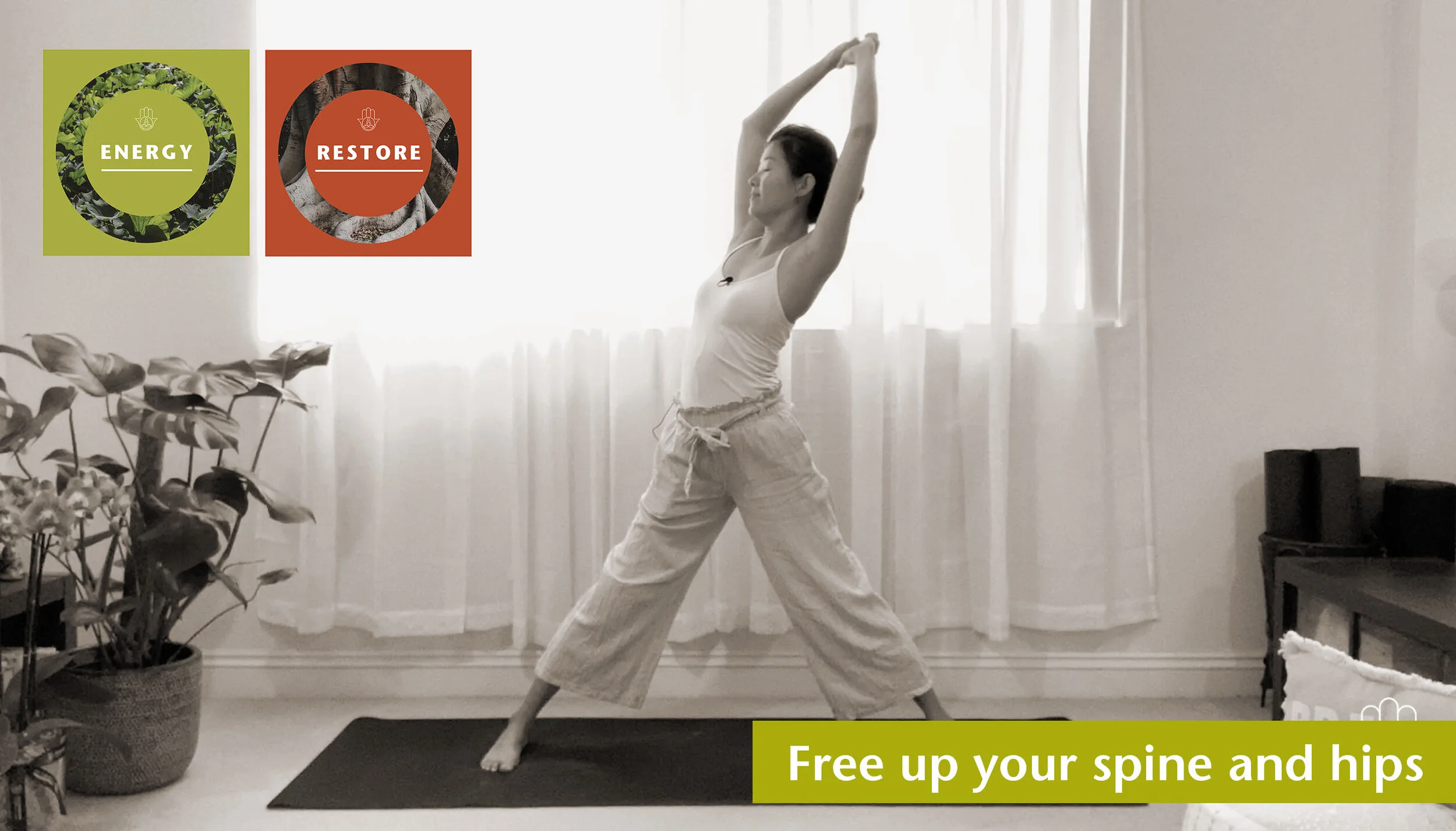 Free up your spine and hips
