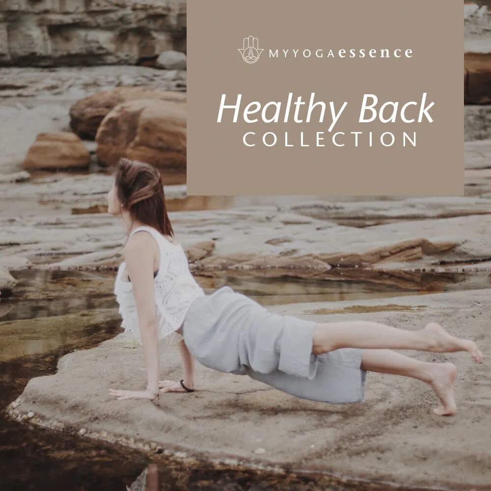 Healthy Back Collection Cover Social.jpg