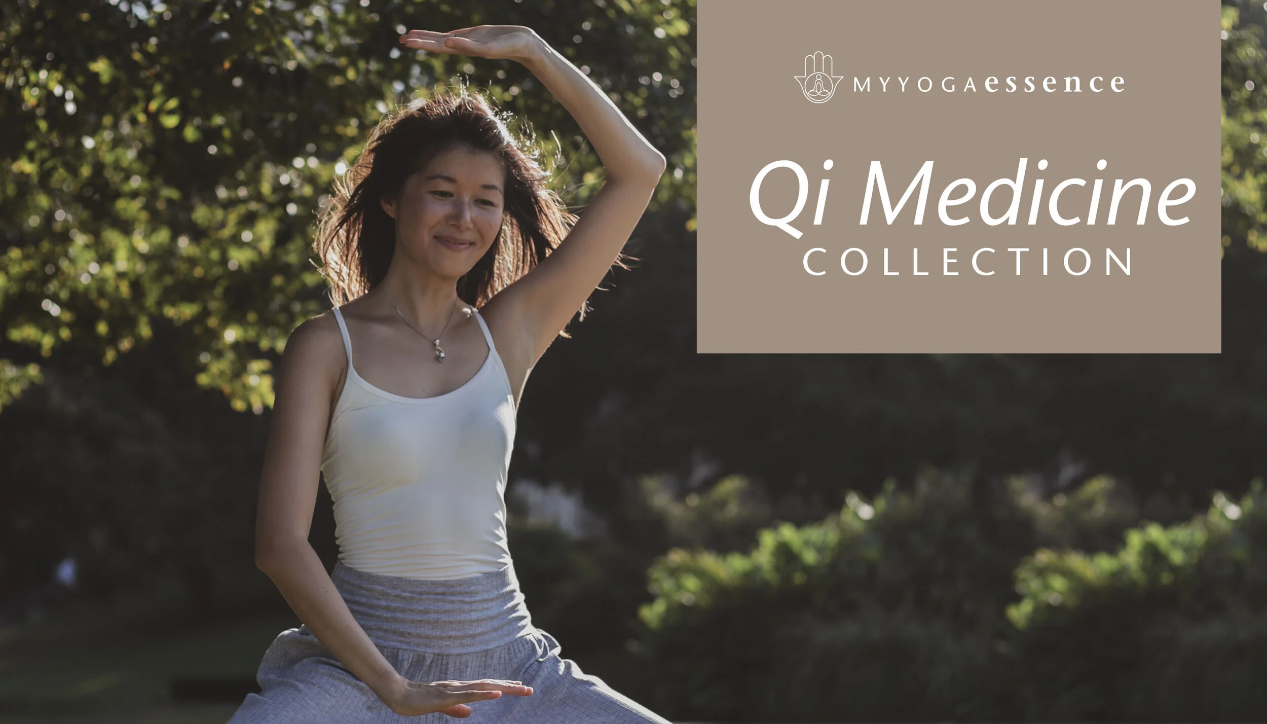 Qi Medicine Collection Cover.jpg