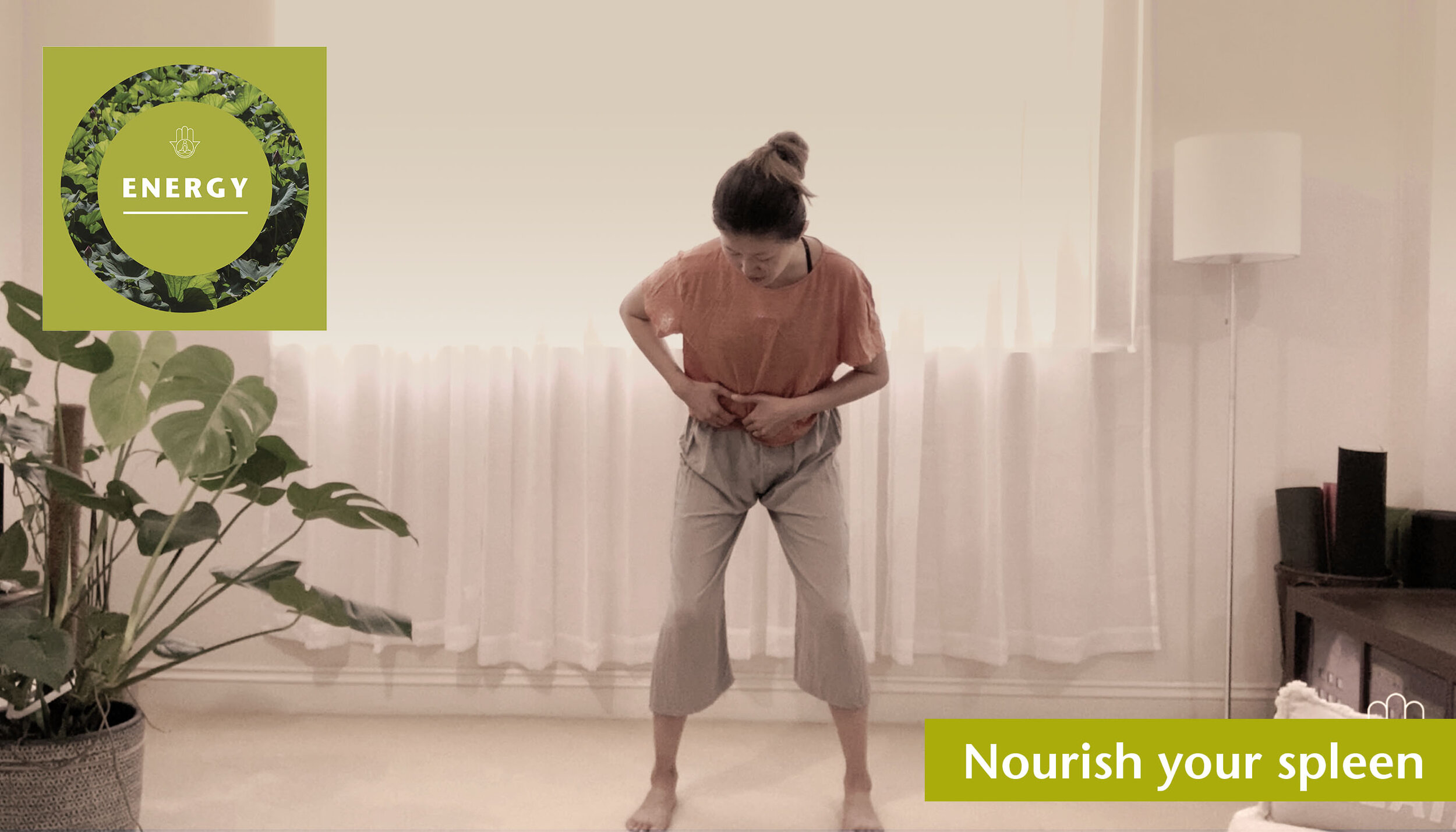 Nourish your spleen