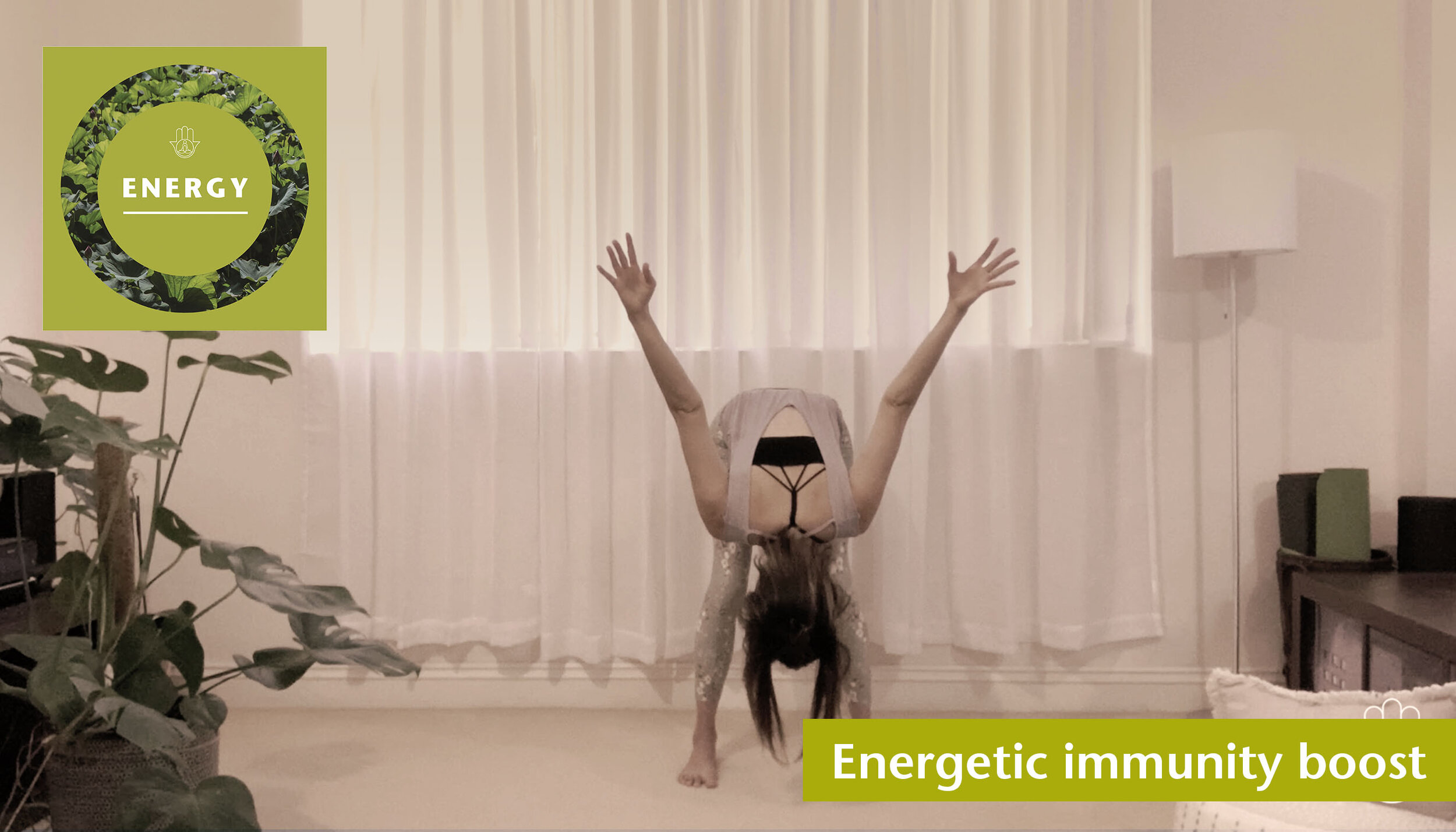 Energetic immunity boost 