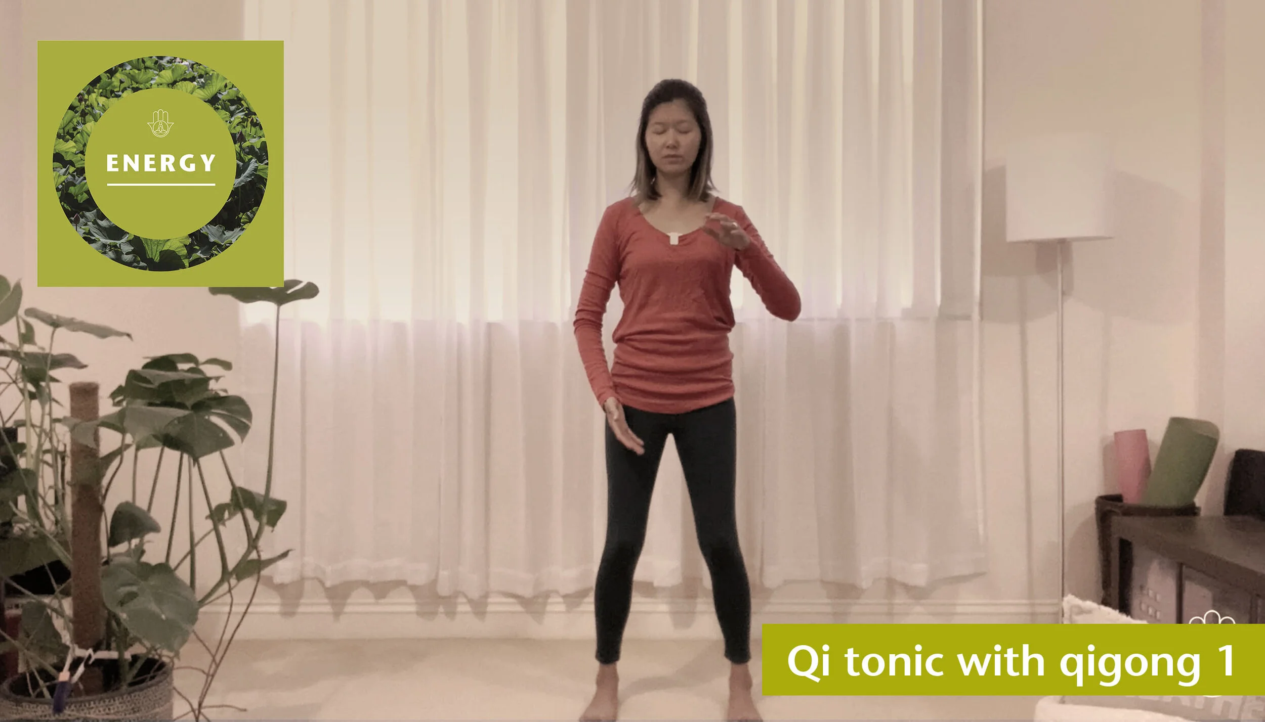 Qi tonic with qigong 1