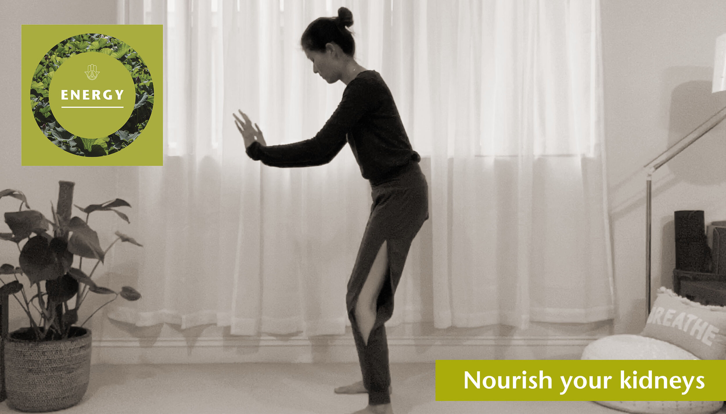 Nourish your kidneys