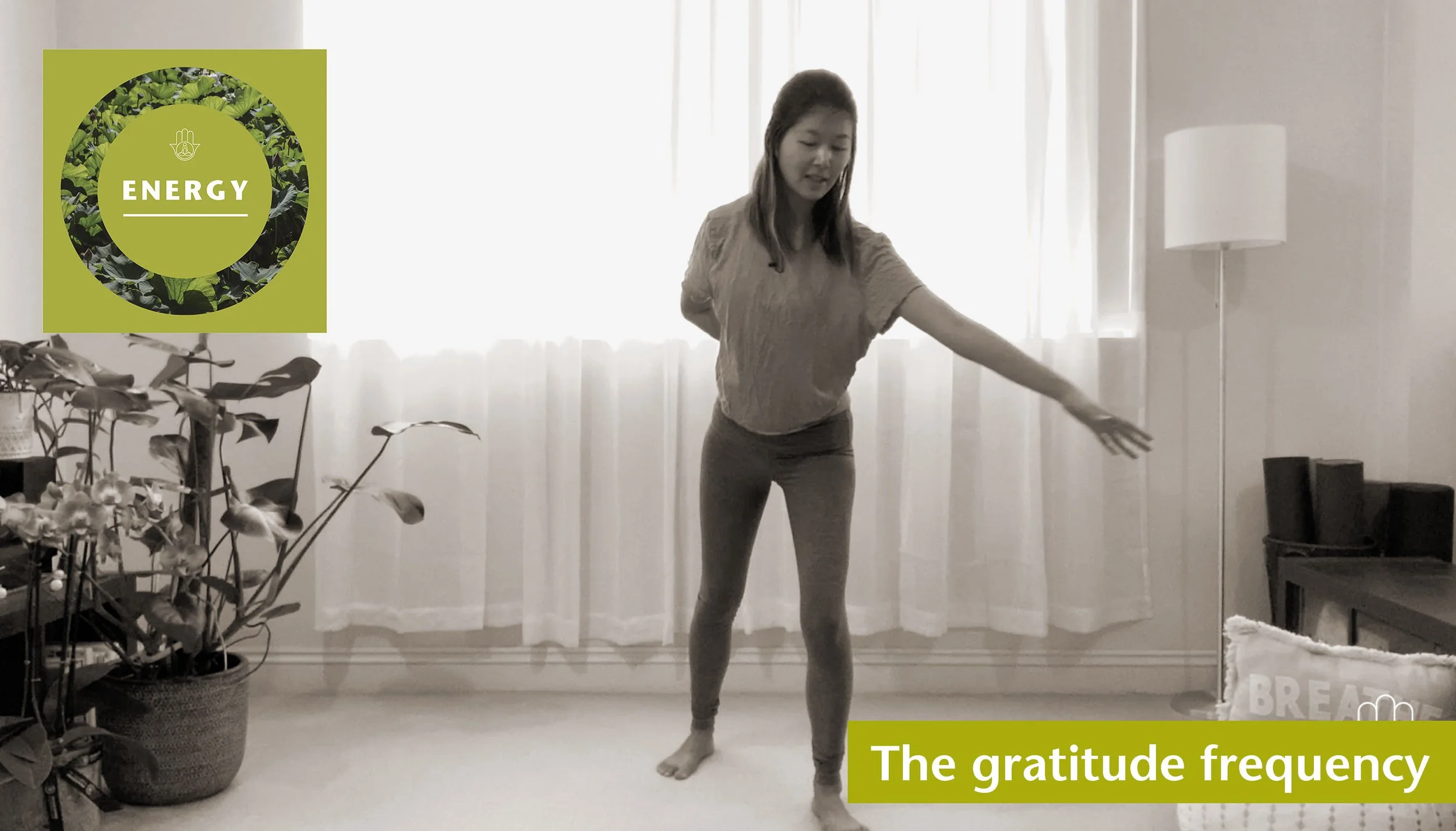 The gratitude frequency