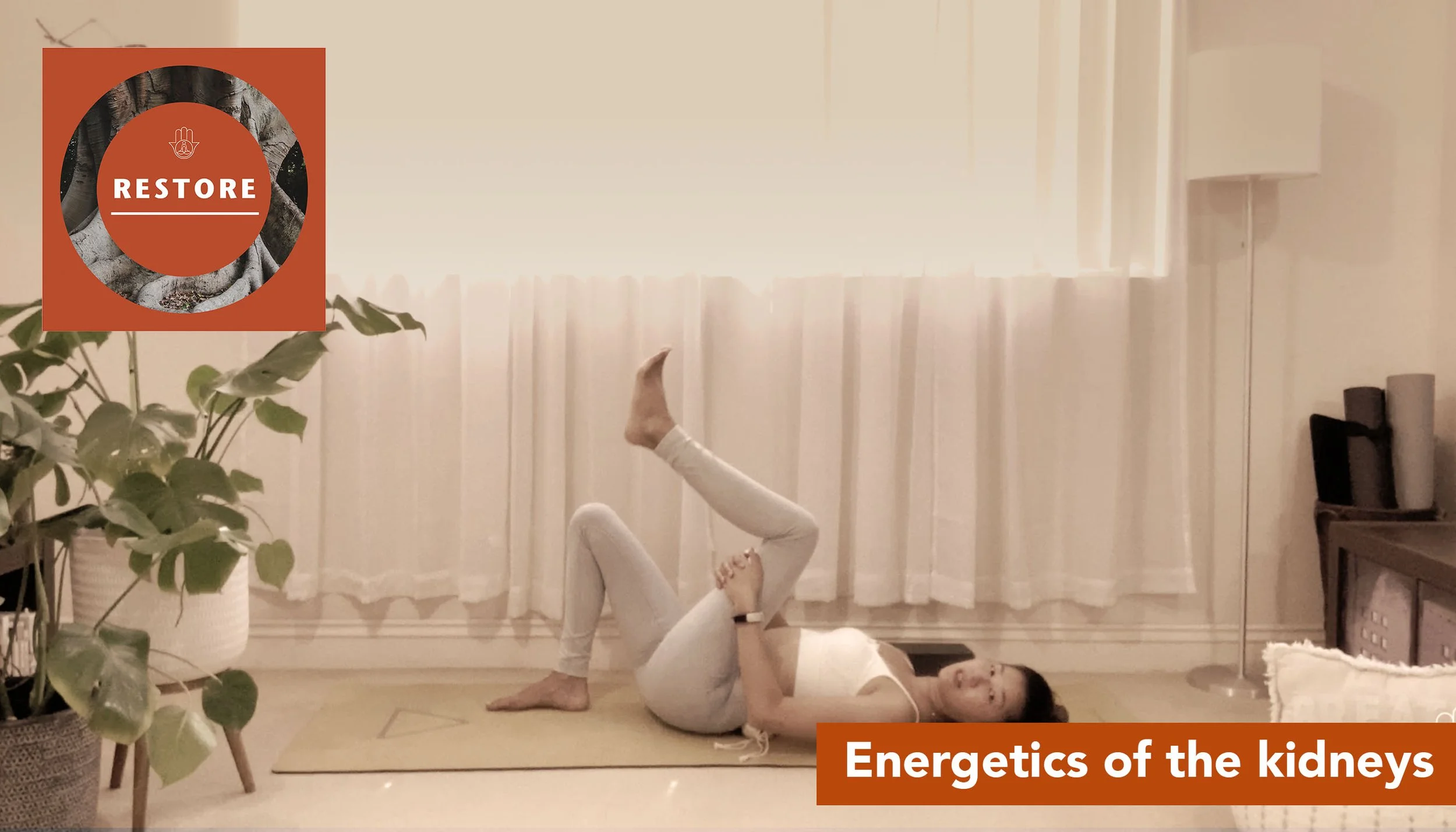 Energetics of the kidneys