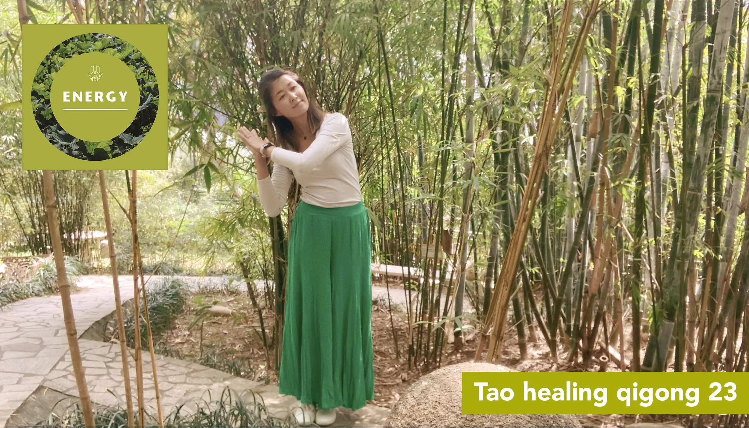 Tao healing qigong 23