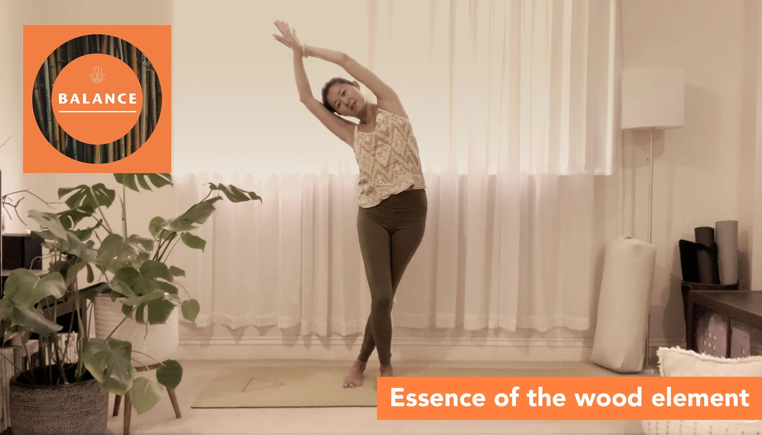 Essence of the wood element