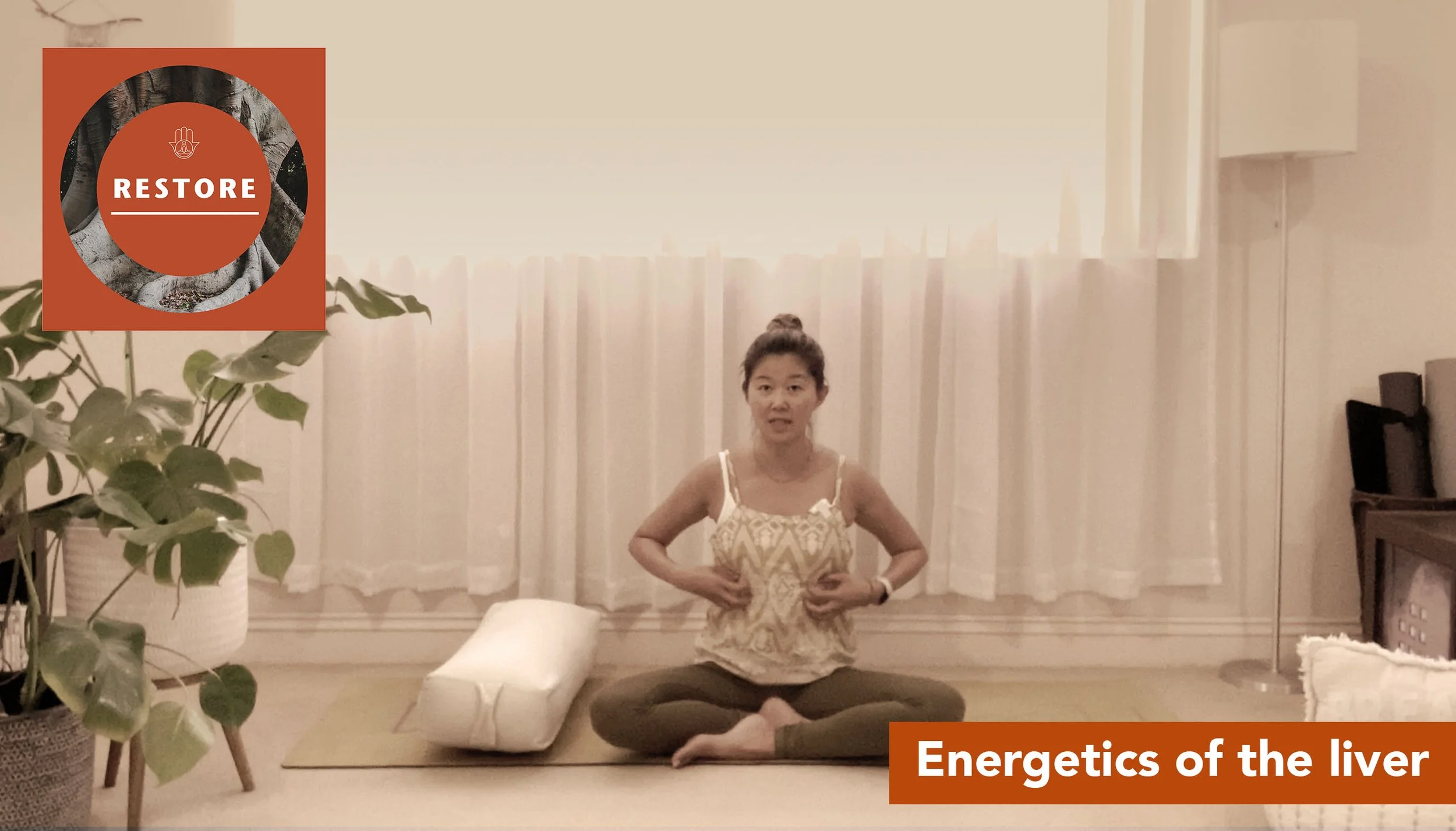 Energetics of the liver