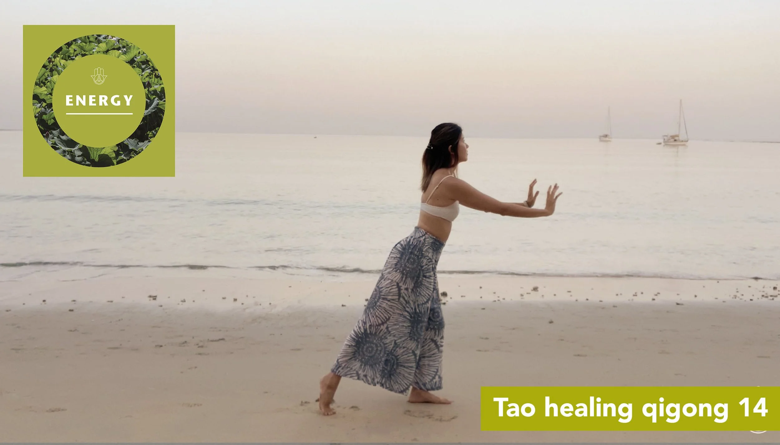Tao healing qigong 14