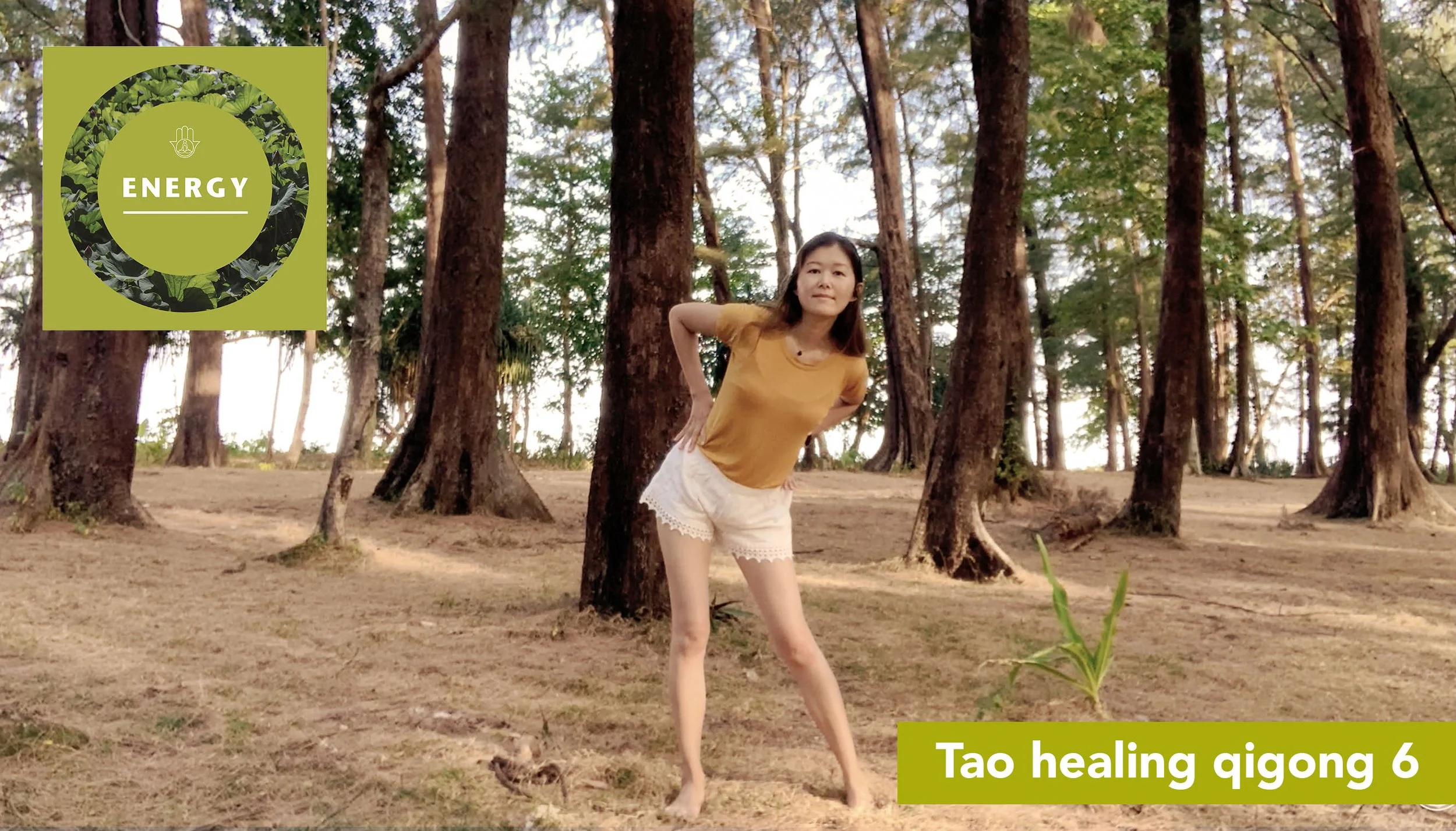 Tao healing qigong 6