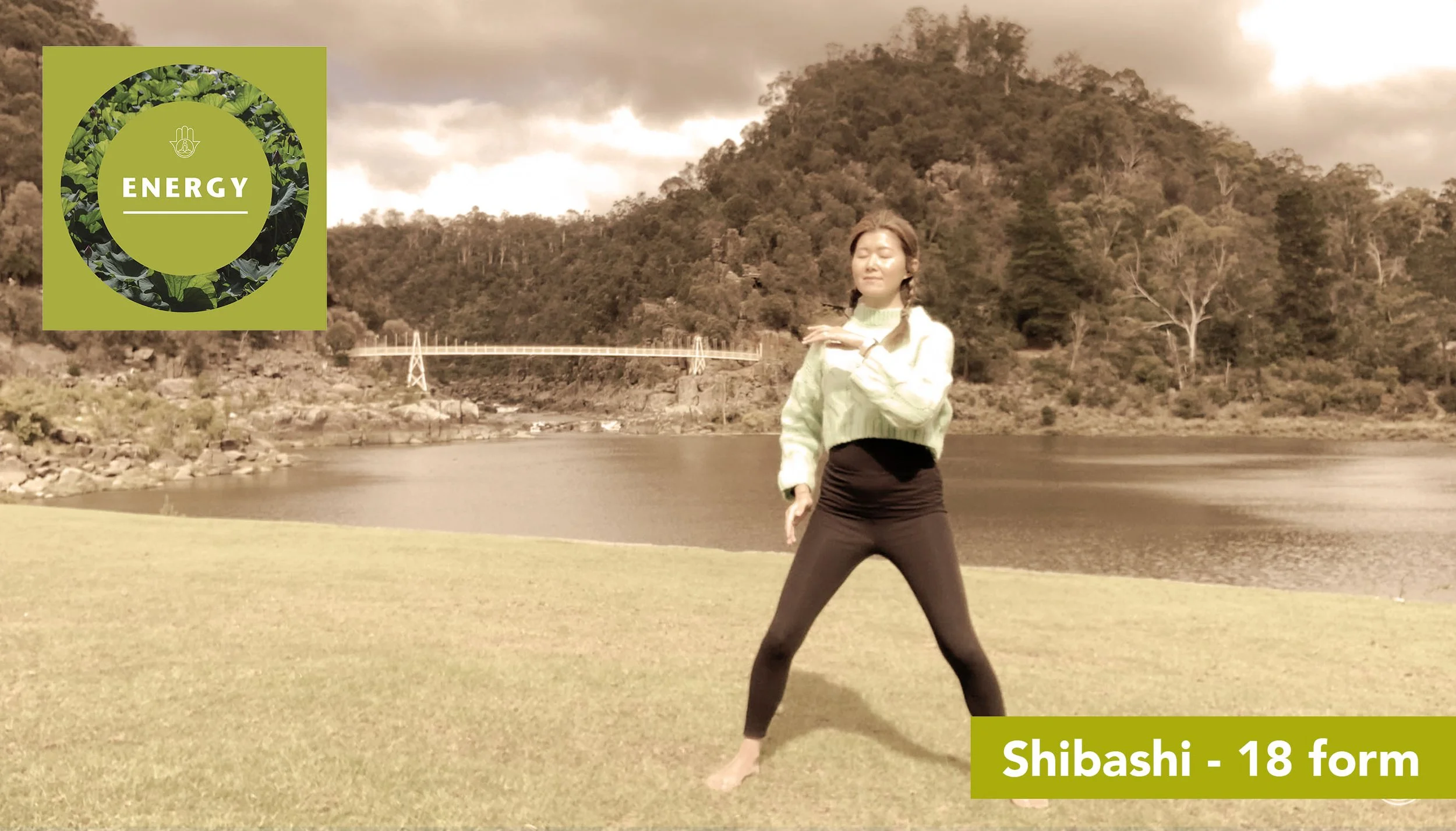 Shibashi