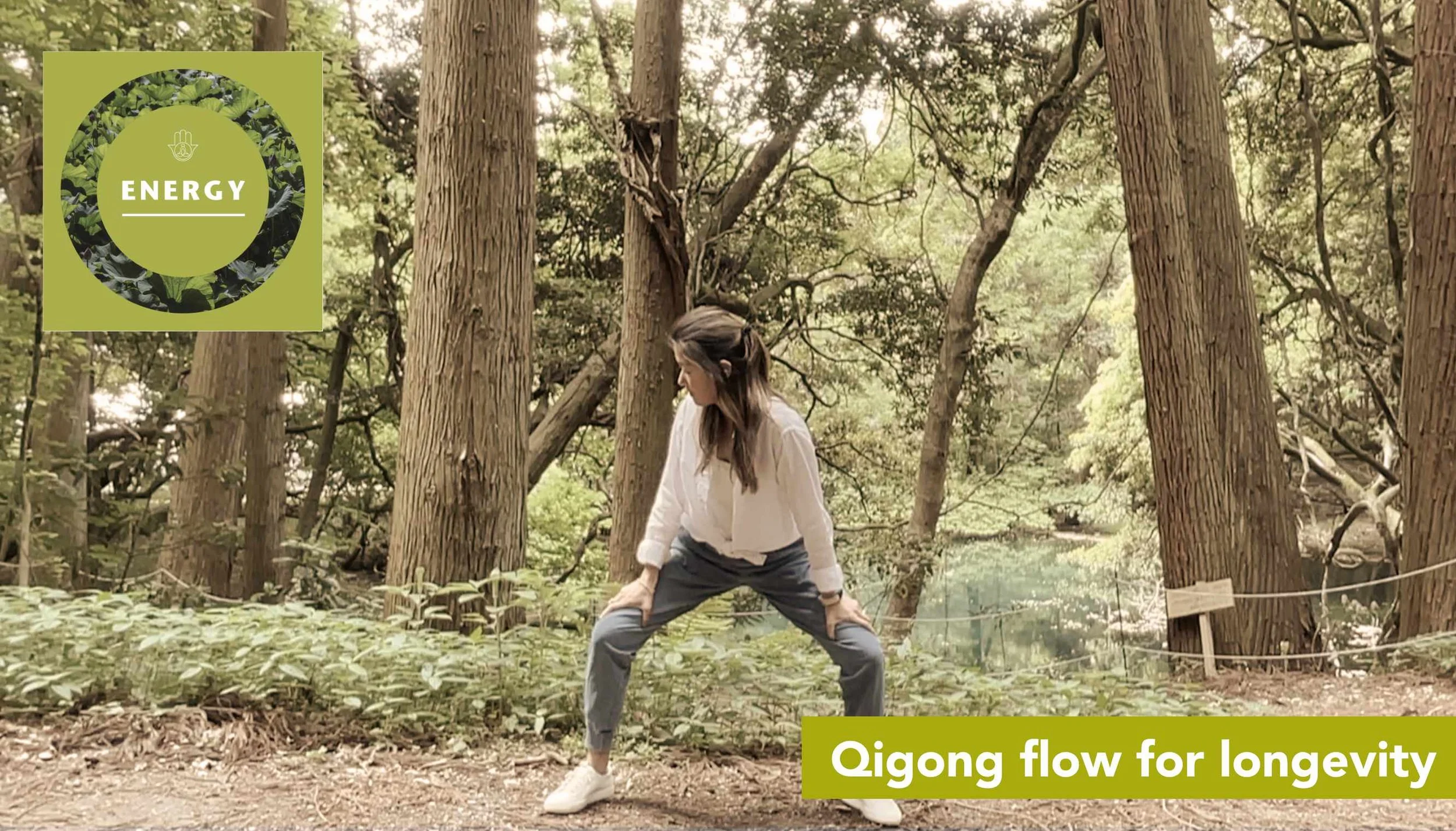 Qigong flow for longevity