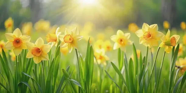 Spring Ritual Masterclass