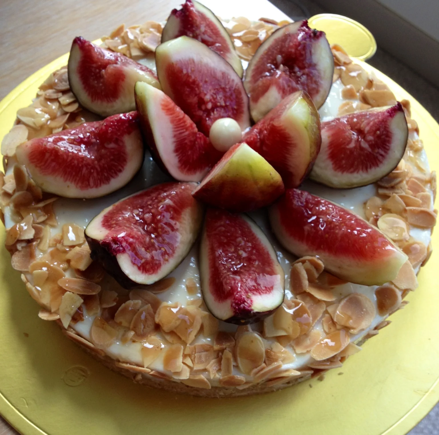 Fig