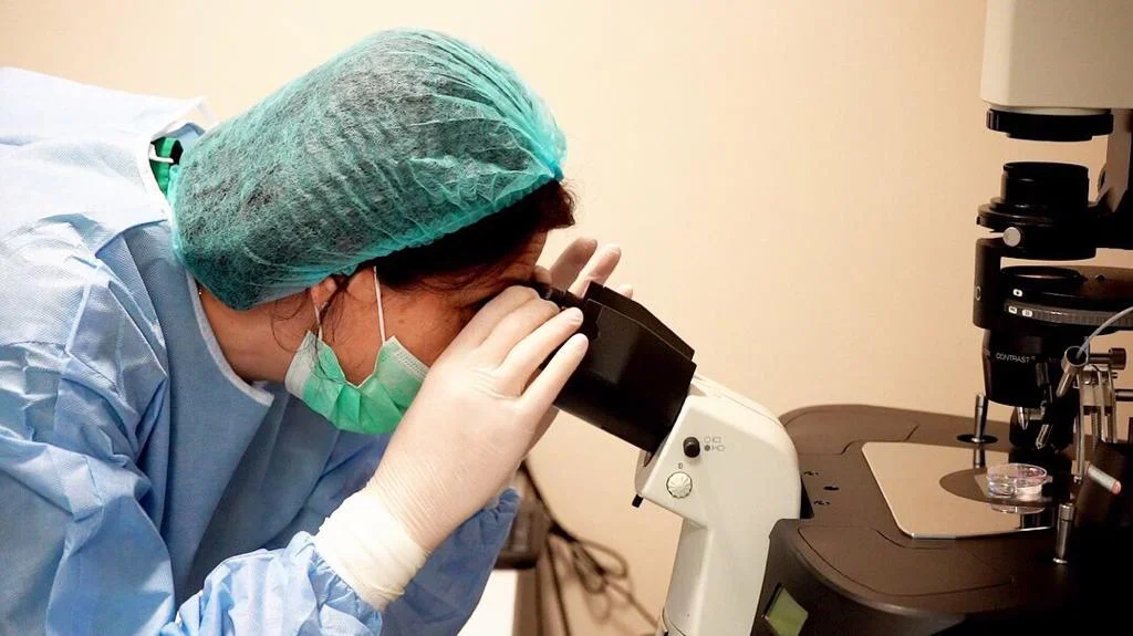 WhatsApp Image 2019-06-10 at 22.26.56 (1).jpeg