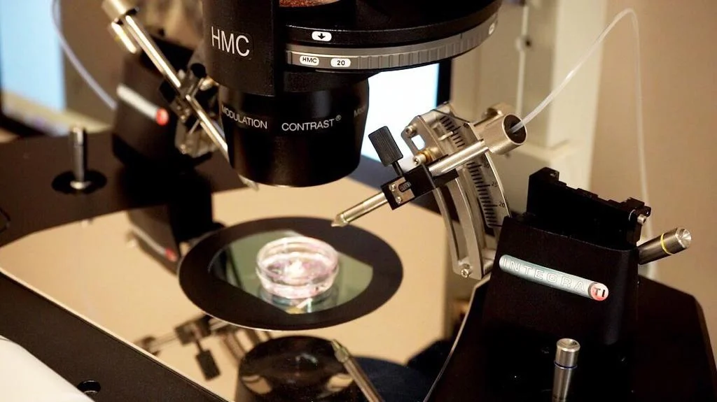 WhatsApp Image 2019-06-10 at 22.26.57.jpeg