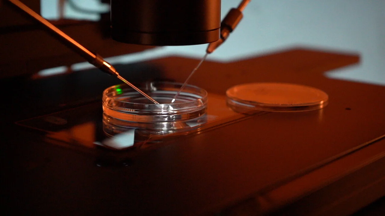 WhatsApp Image 2019-10-17 at 10.31.17.jpeg