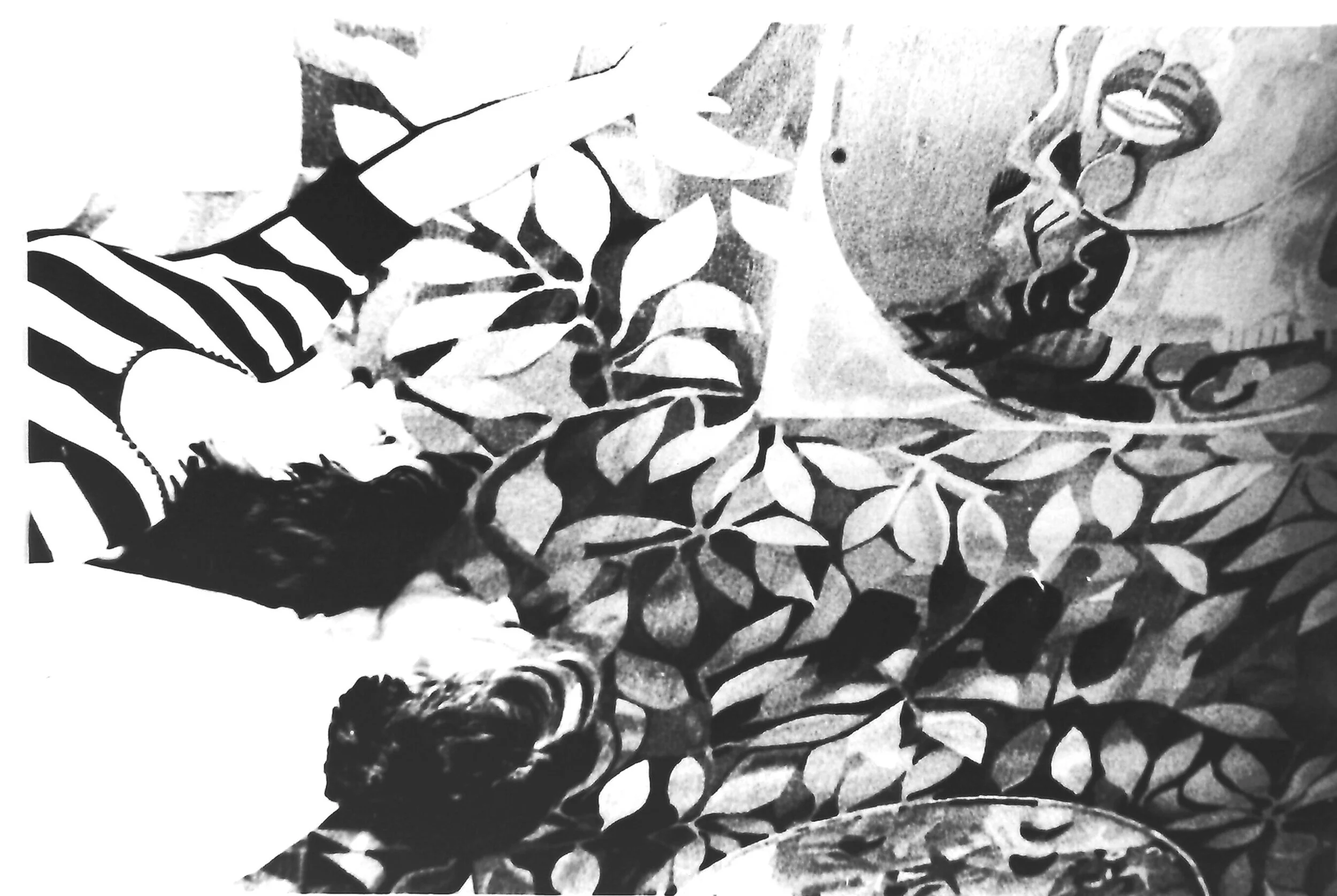PICT2163.JPG