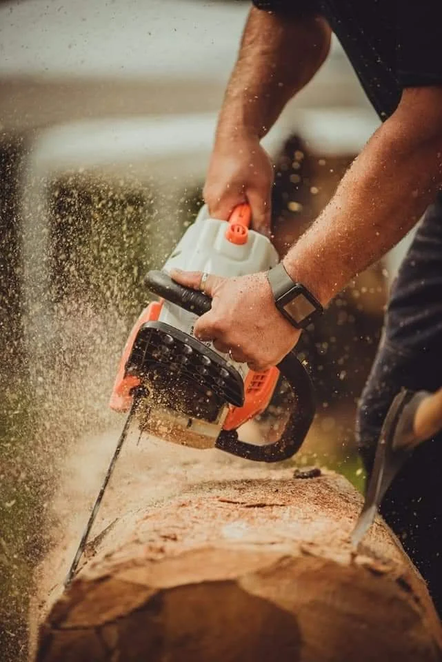 WhatsApp Image 2022-01-16 at 17.50.59.jpeg