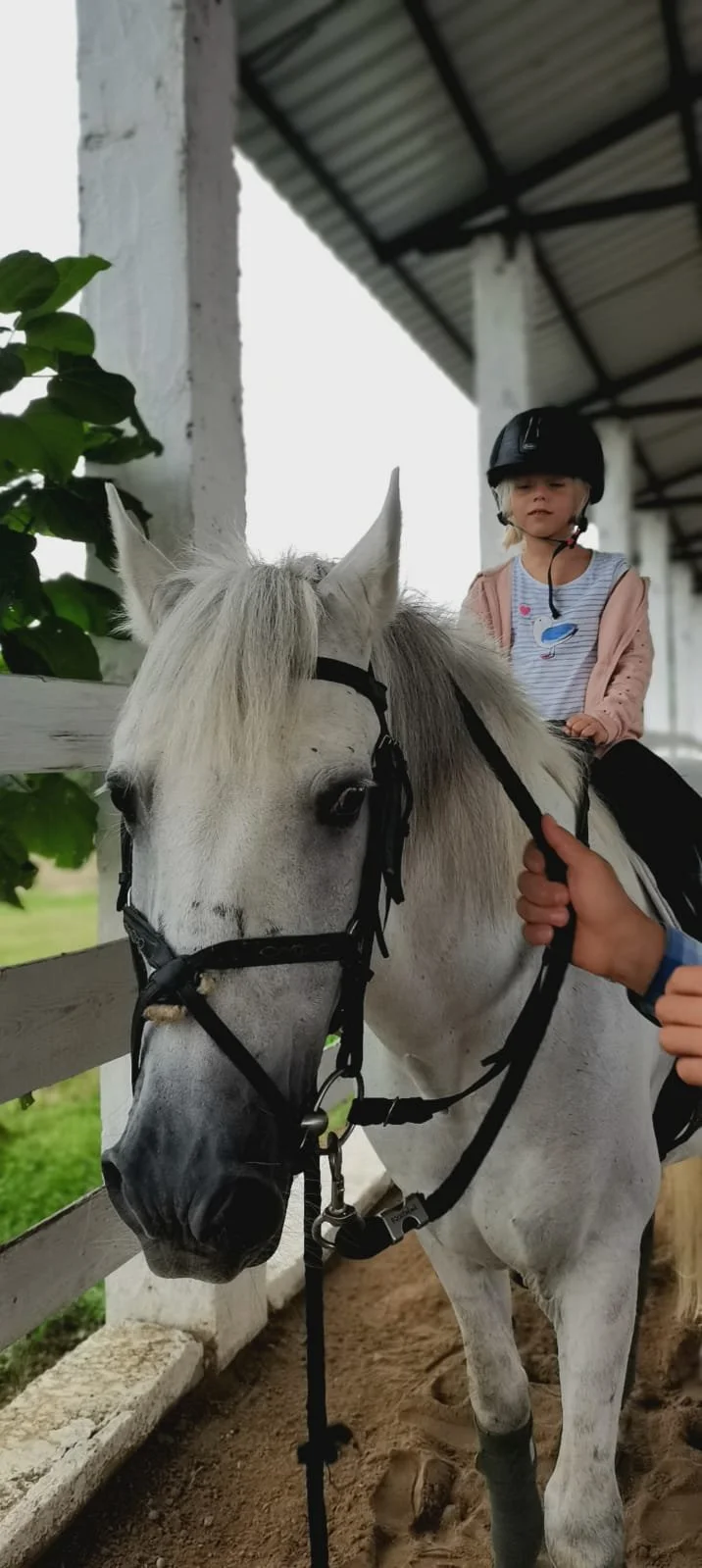 WhatsApp Image 2022-04-06 at 10.37.19 PM.jpeg