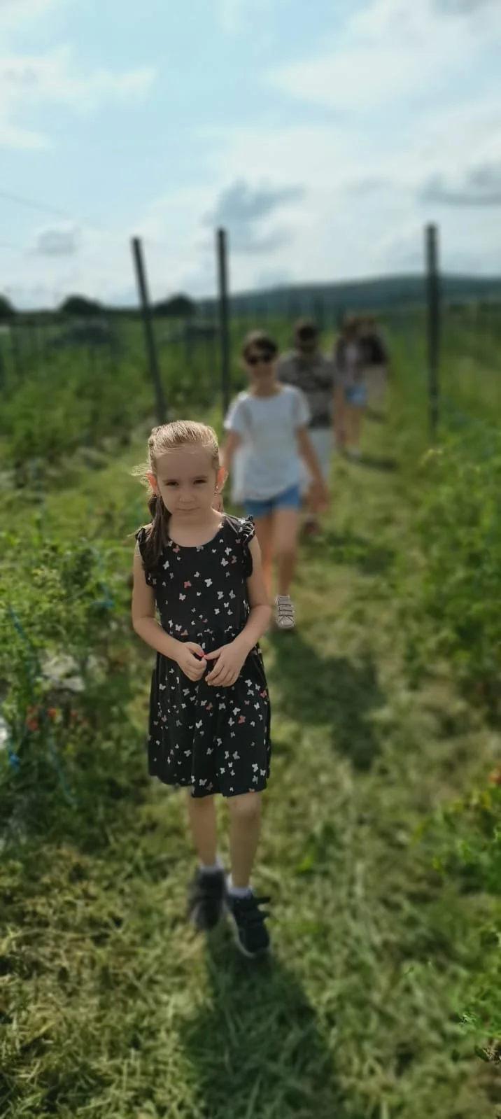 WhatsApp Image 2022-04-06 at 10.39.13 PM.jpeg