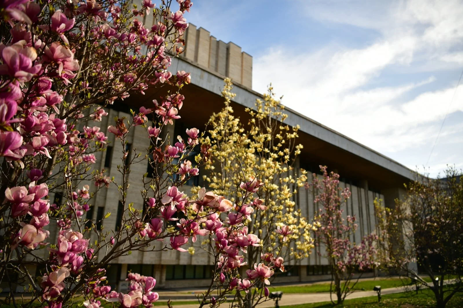 WhatsApp Image 2022-04-09 at 10.41.08 AM.jpeg