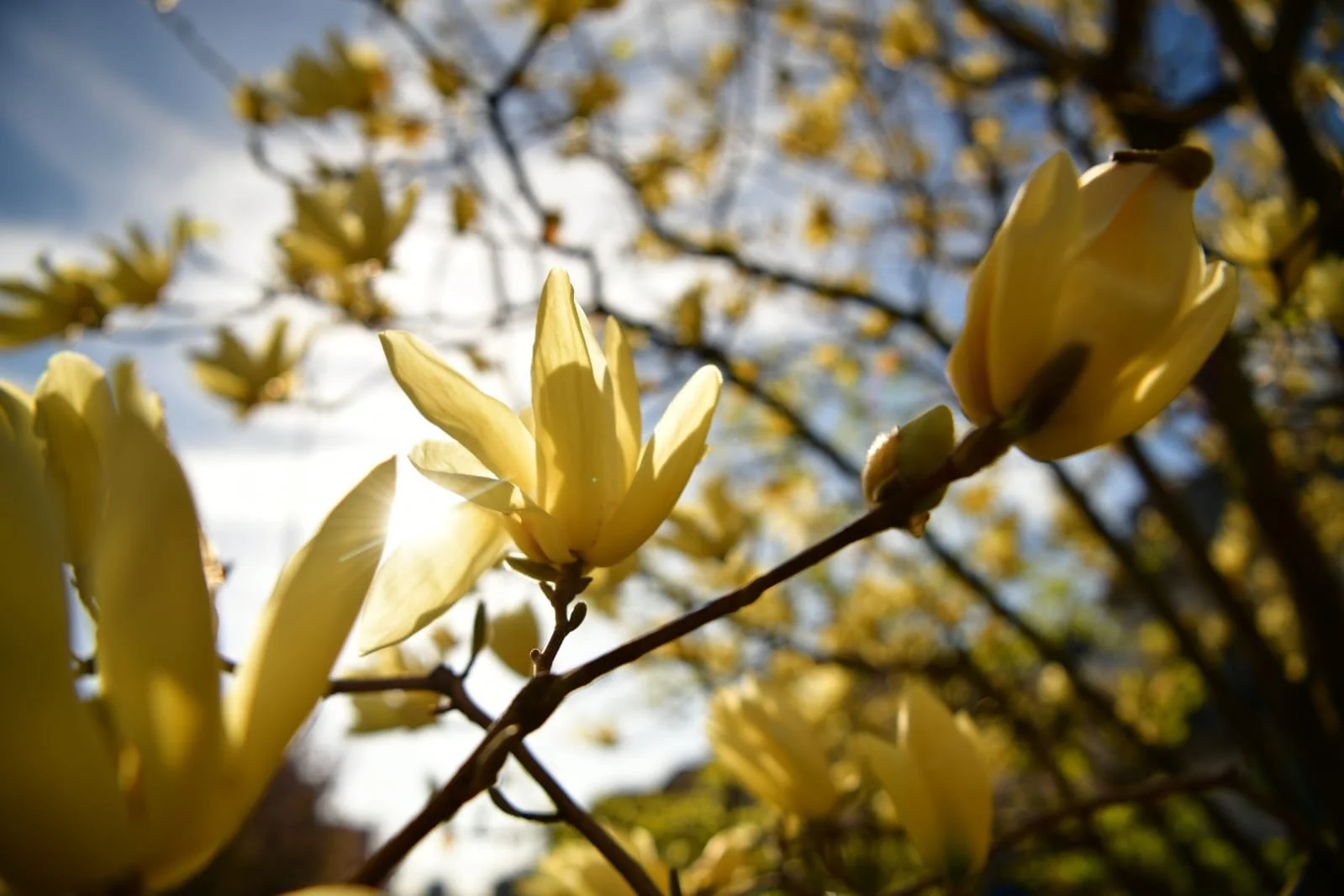 WhatsApp Image 2022-04-09 at 10.41.09 AM.jpeg