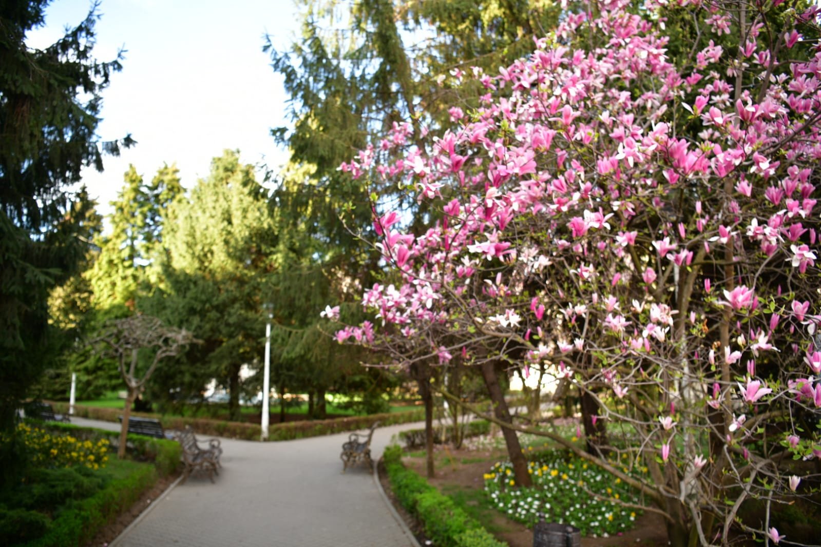 WhatsApp Image 2022-04-09 at 10.41.11 AM.jpeg