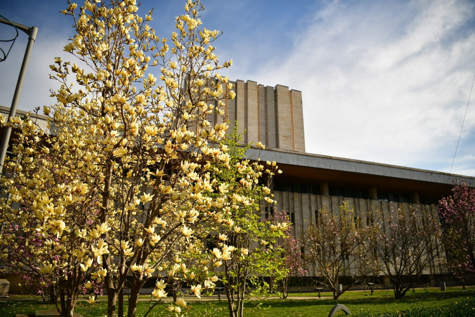 WhatsApp Image 2022-04-09 at 10.41.15 AM (1).jpeg