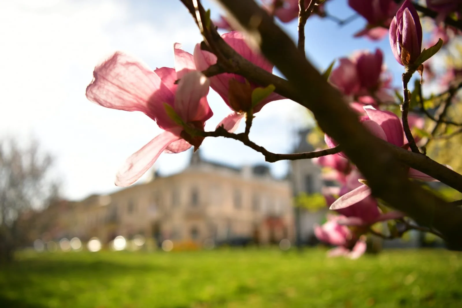 WhatsApp Image 2022-04-09 at 10.41.18 AM (2).jpeg