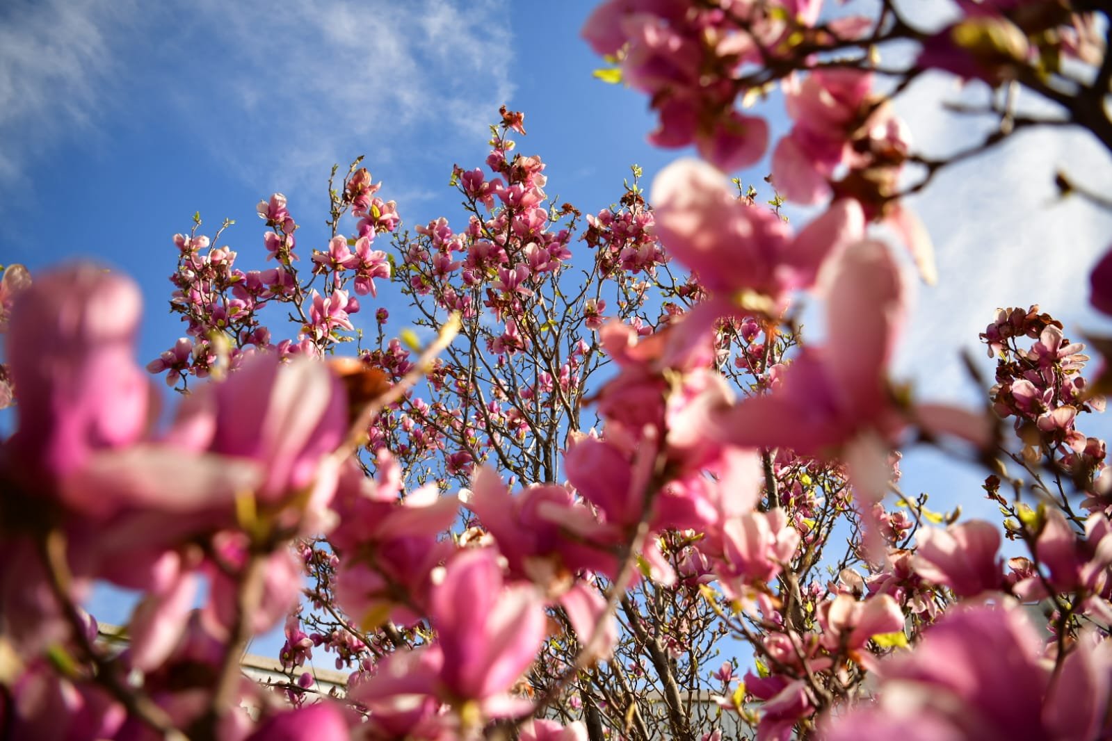 WhatsApp Image 2022-04-09 at 10.41.20 AM.jpeg