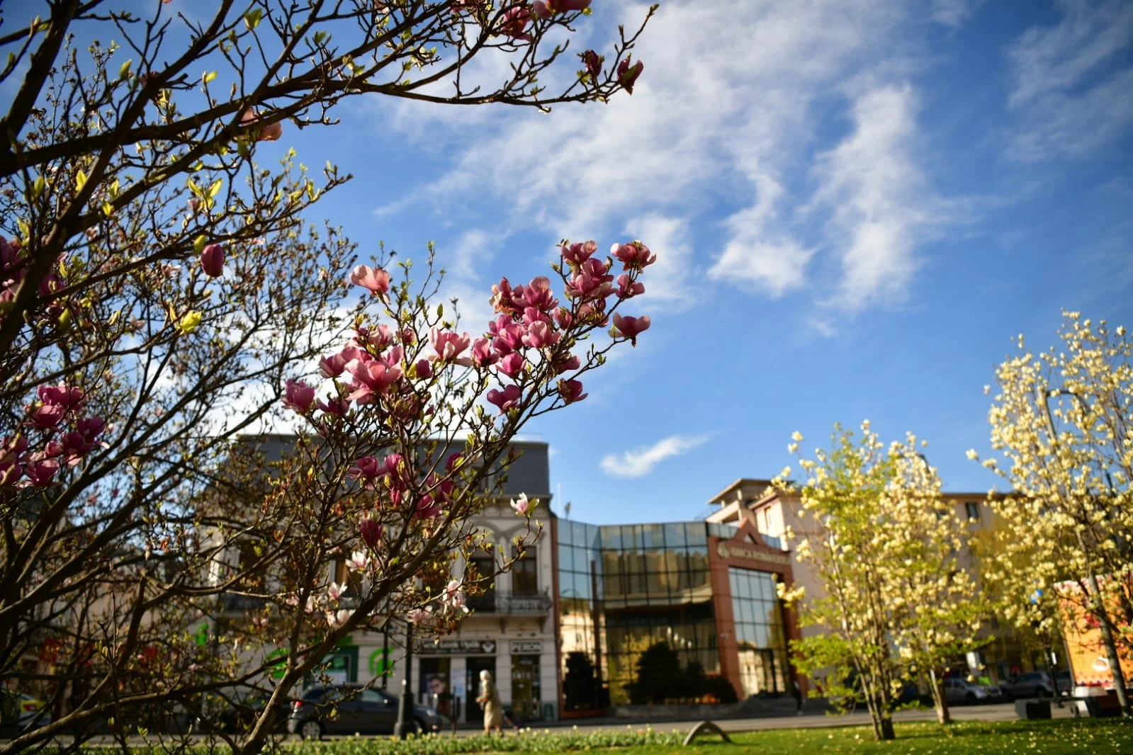 WhatsApp Image 2022-04-09 at 10.41.20 AM (2).jpeg