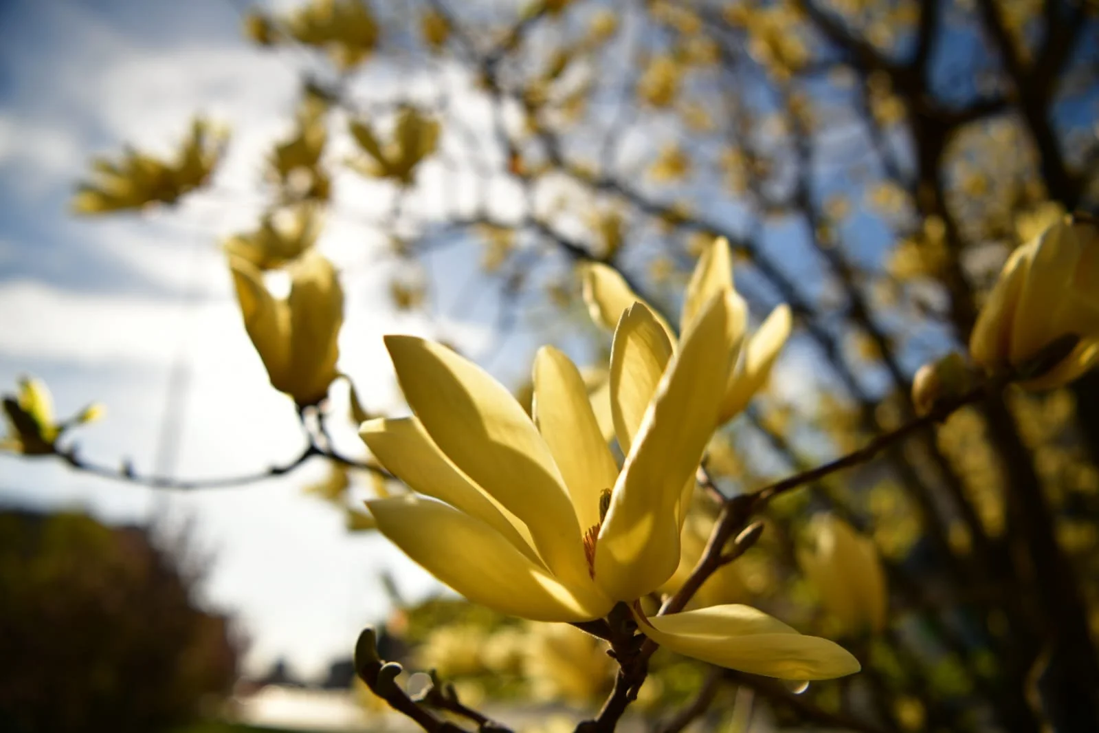 WhatsApp Image 2022-04-09 at 10.41.22 AM (1).jpeg