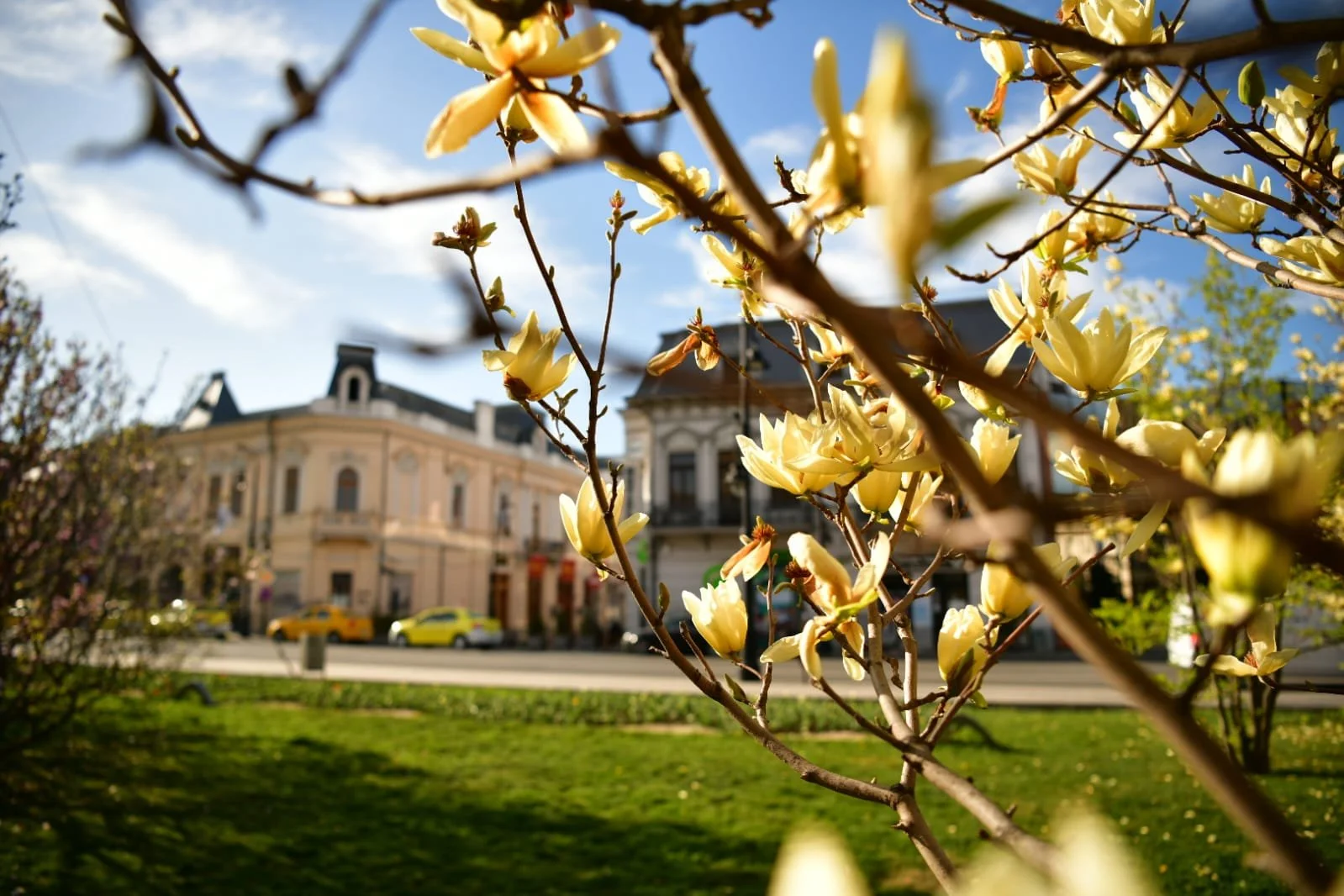 WhatsApp Image 2022-04-09 at 10.41.21 AM.jpeg