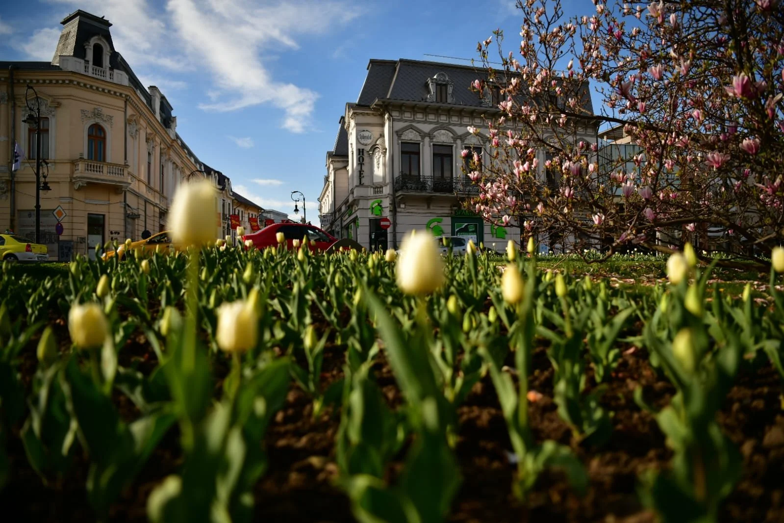 WhatsApp Image 2022-04-09 at 10.41.23 AM.jpeg