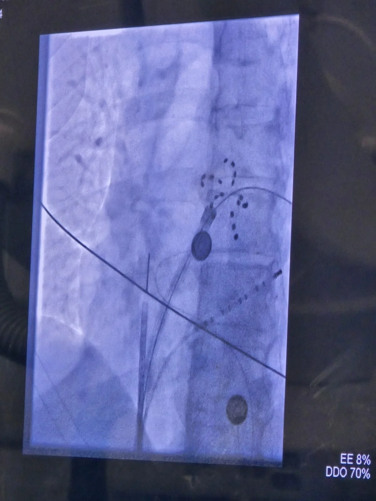 WhatsApp Image 2024-11-02 at 12.25.16.jpeg